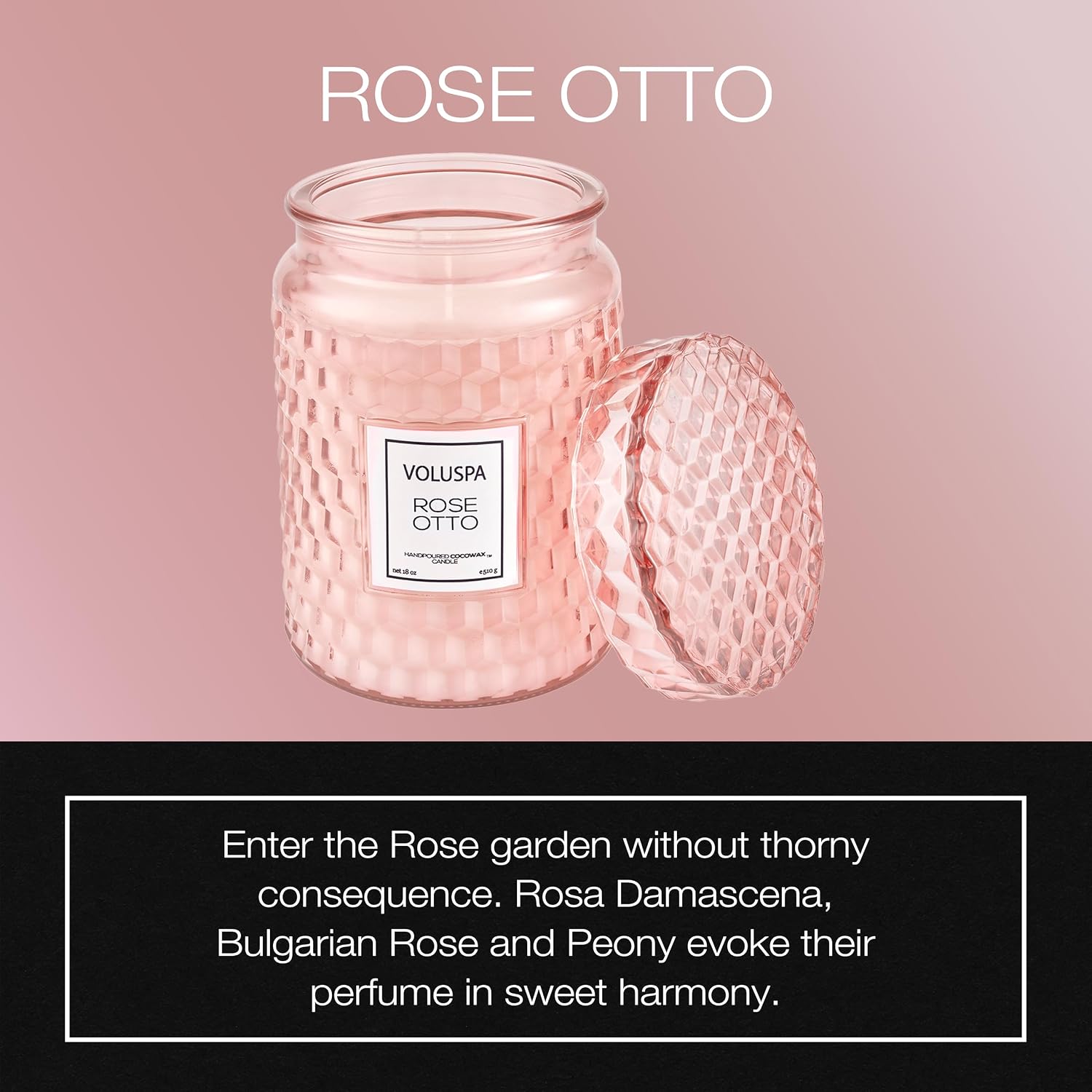 Voluspa Milk Rose, Large Candle Jar, 18 Ounce, 100 Hour Burn Time, Coconut Wax for Clean Burning, Handcrafted in the USA