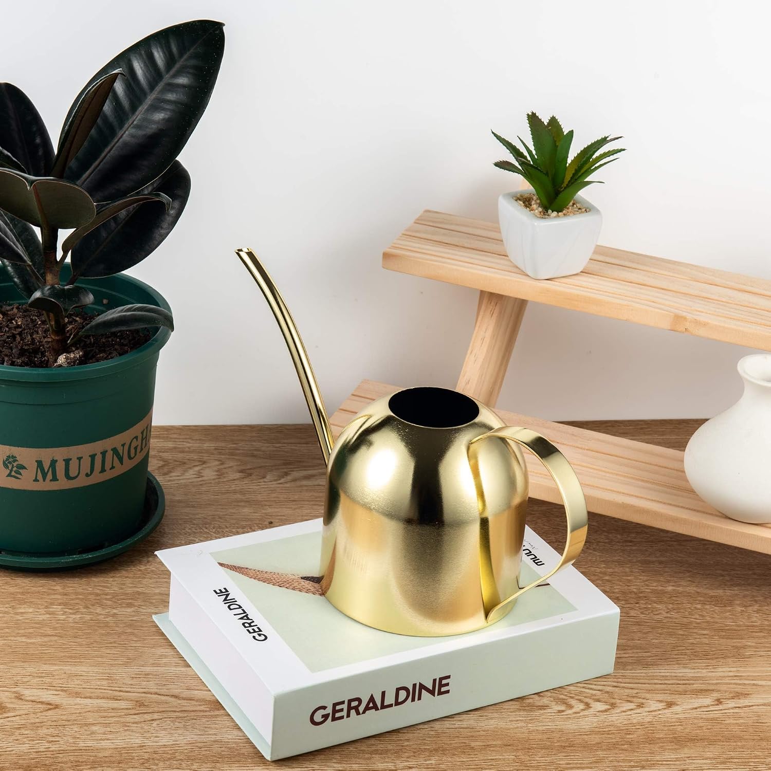 IMEEA Indoor Watering Can for House Plants 33oz/1L Brushed Stainless Steel Watering Can with Long Spout for Succulents, Bonsai