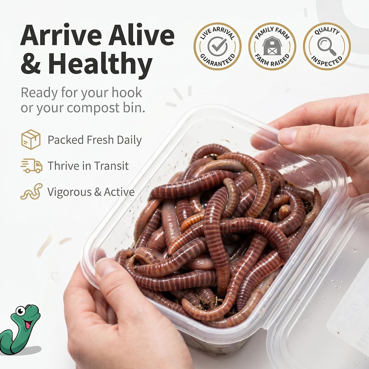 Live PANFISH European Nightcrawlers Composting Worms Fishing Worms