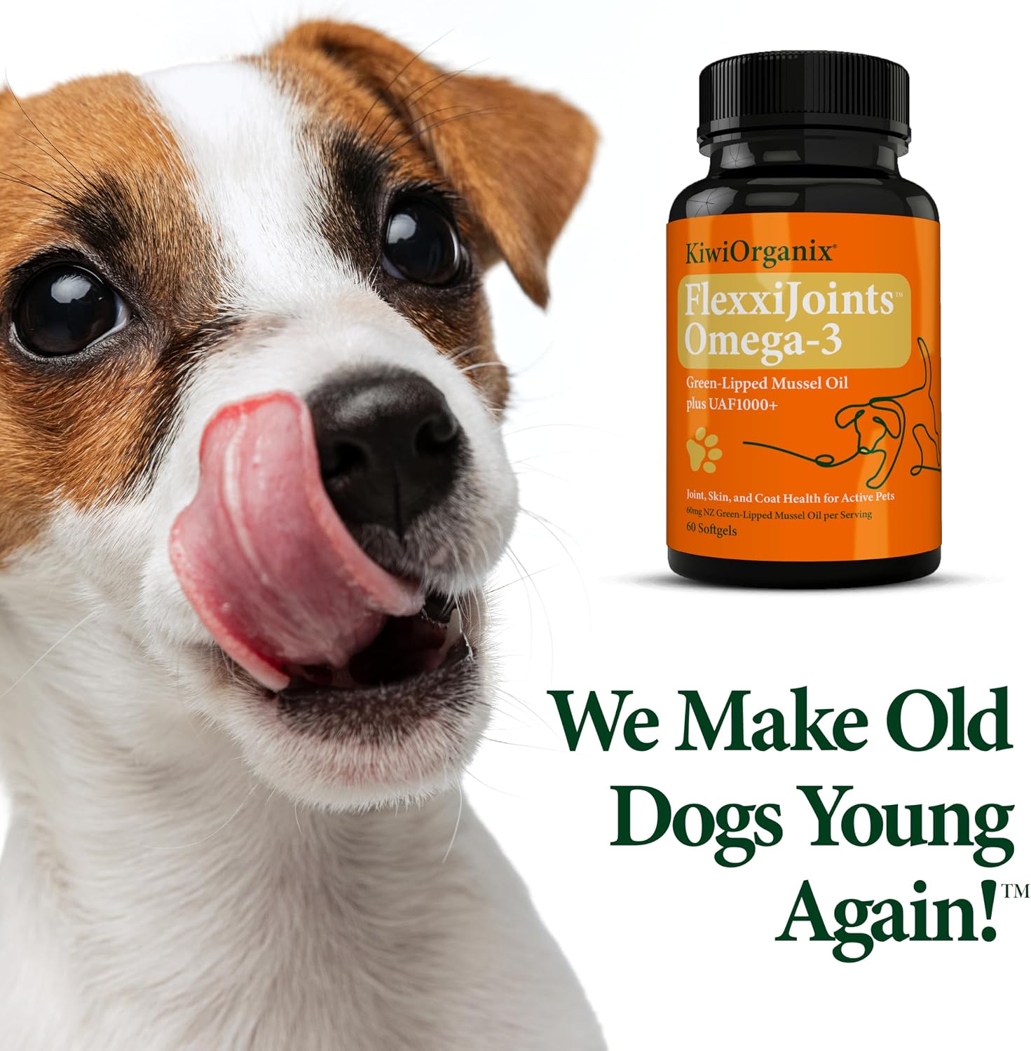 FlexxiJoints Omega-3 Hip and Joint Supplement • Green-Lipped Mussel Omega-3 Oil for Dogs • 100% New Zealand Green-Lipped Mussels (60 Softgels)