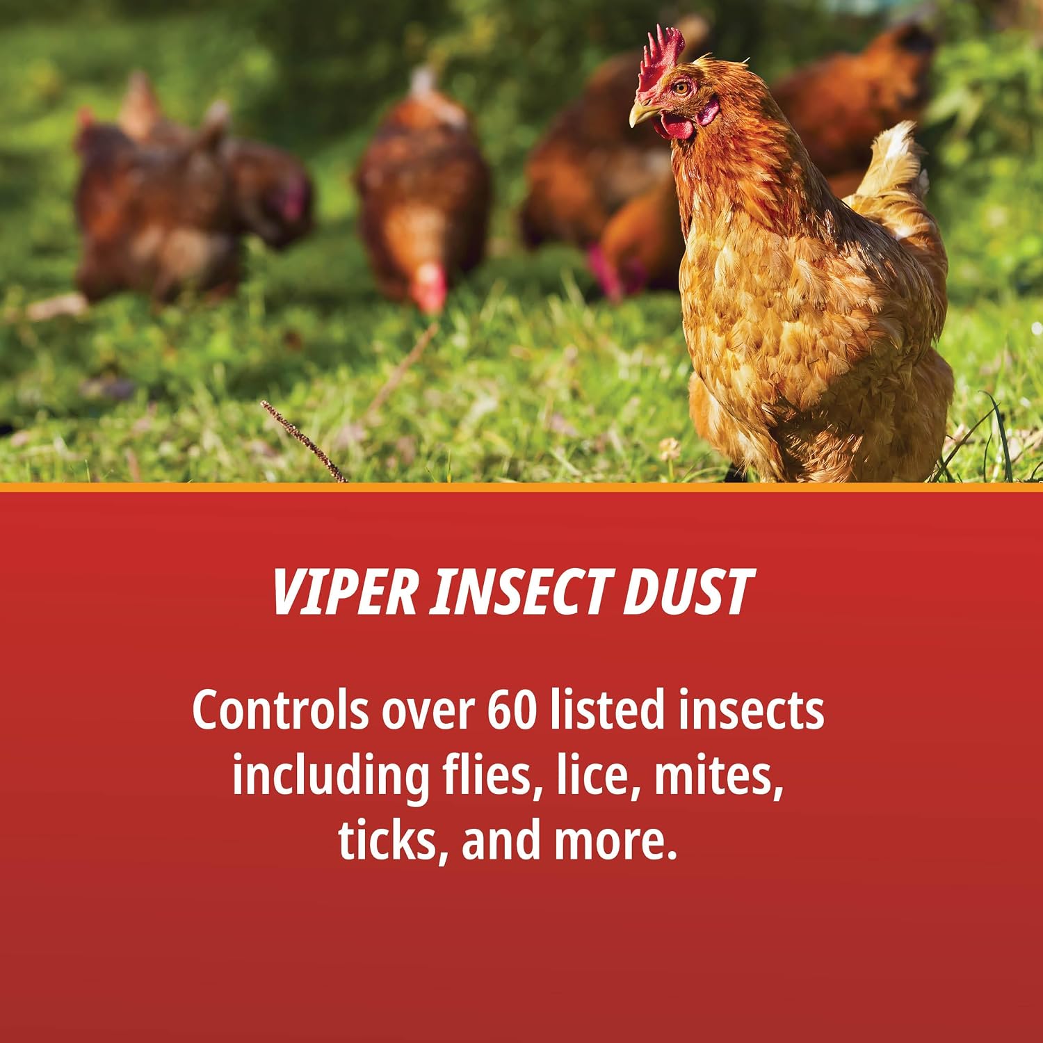 Martin's 4 lb Viper Home & Garden Dust