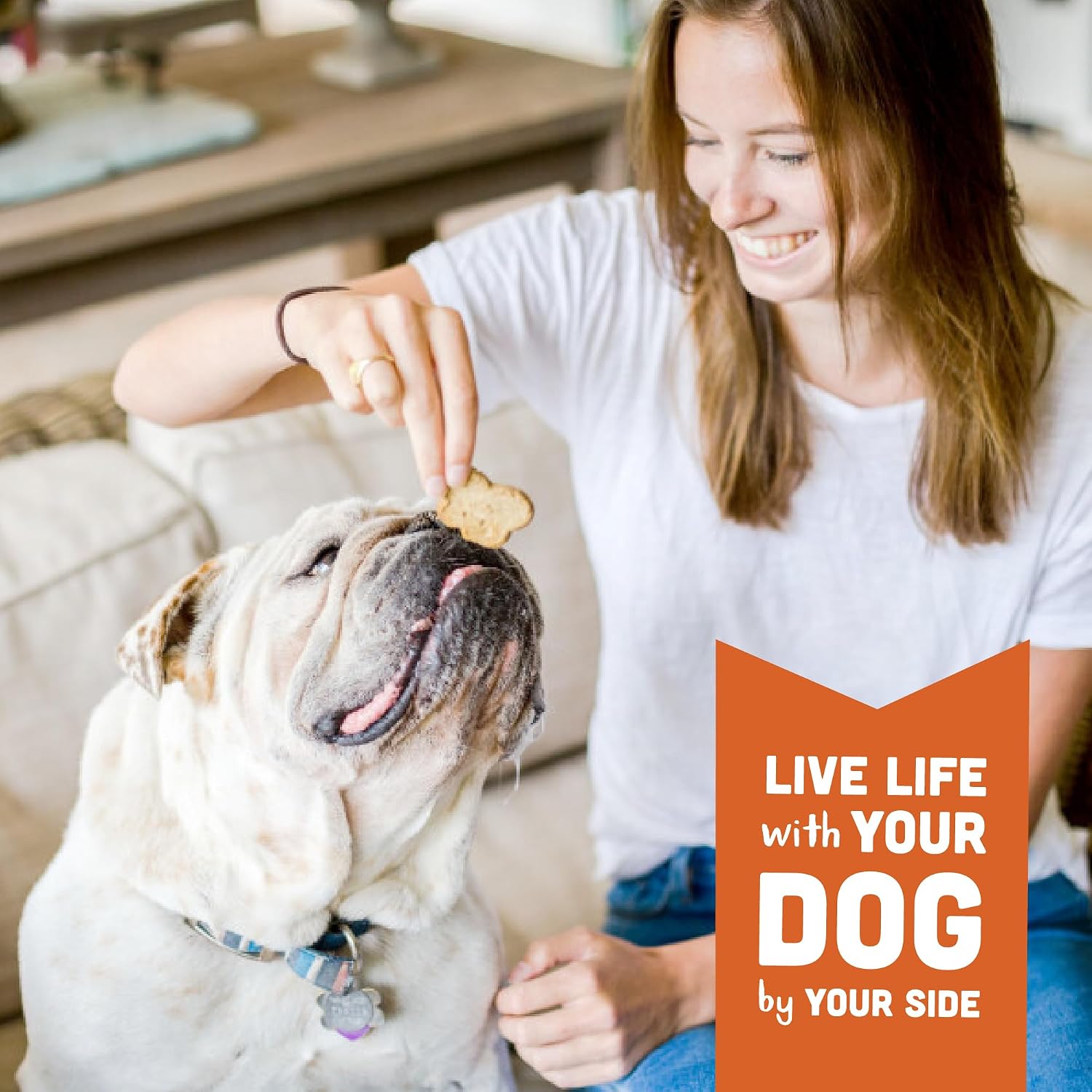Cloud Star Wag More Bark Less - Dog Treats - Crunchy Biscuits - Grain Free Peanut Butter & Apples - 14 oz Box