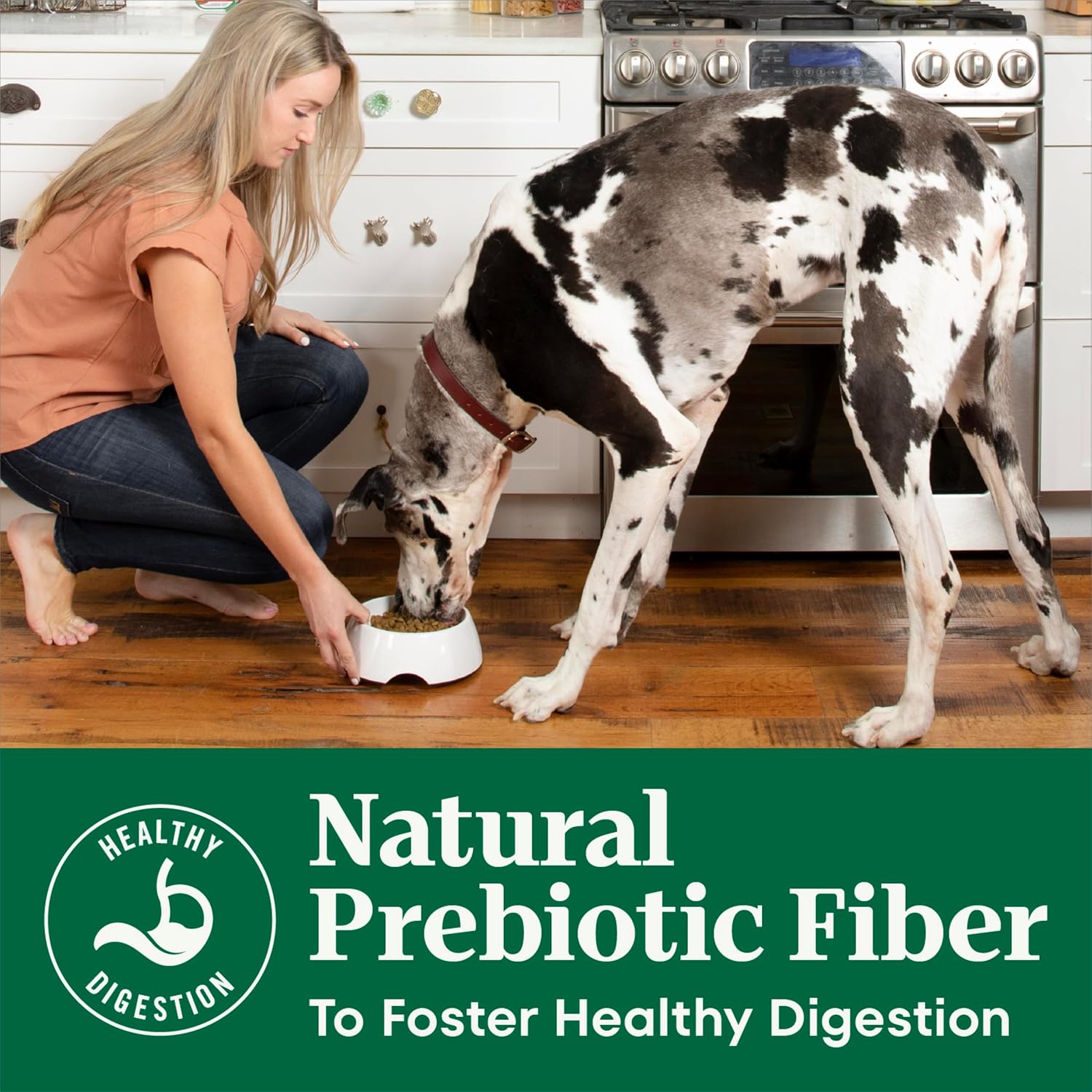 Nutro Natural Choice Adult Dry Dog Food, Chicken & Brown Rice Recipe, 5 lb | Non-GMO, Real chicken #1 ingredient, no corn, wheat, soy or chicken by-product meal, supports skin & coat/digestion/immunity