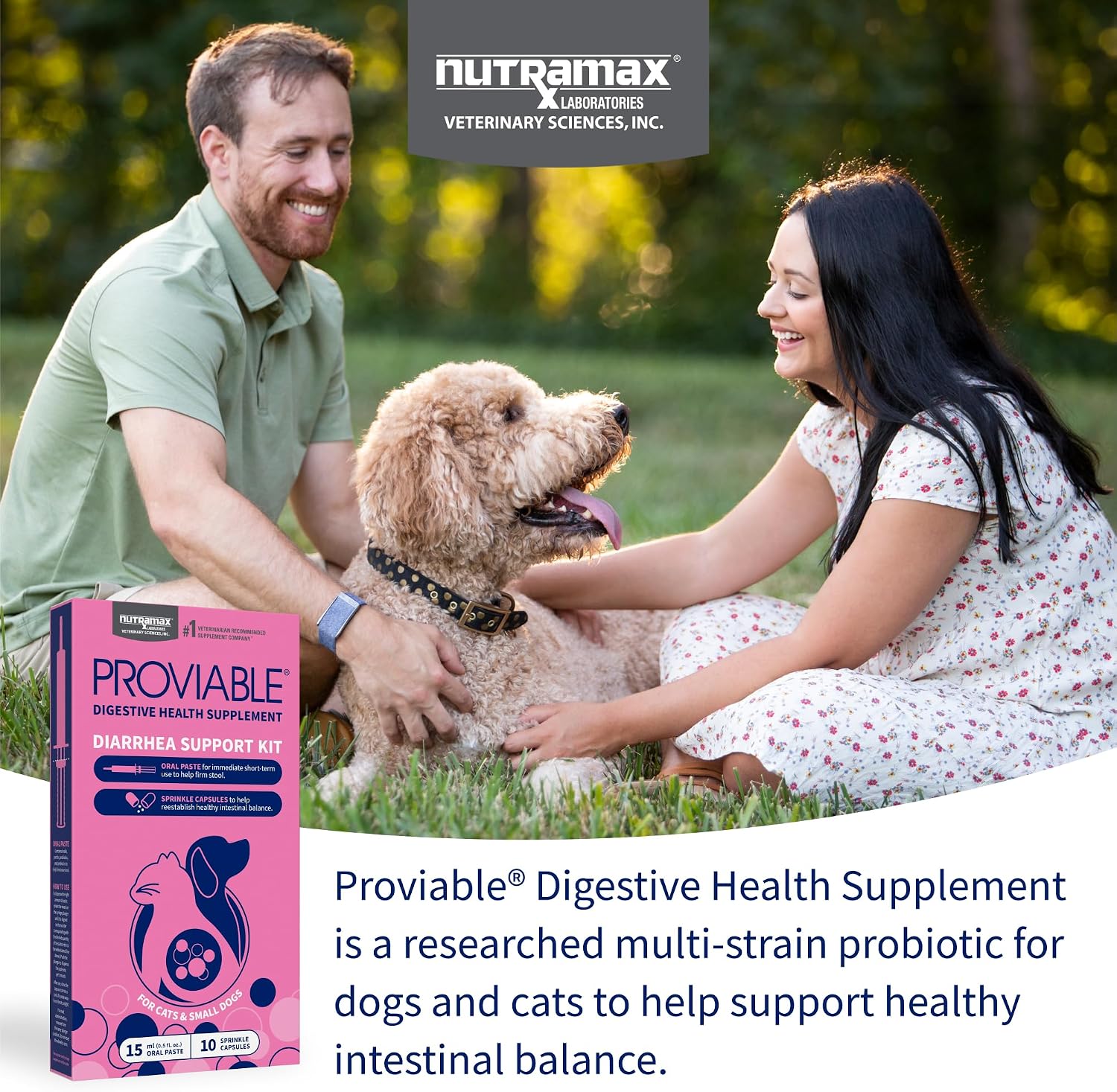 Nutramax Proviable Probiotics + Prebiotics for Dogs, Diarrhea Support Kit