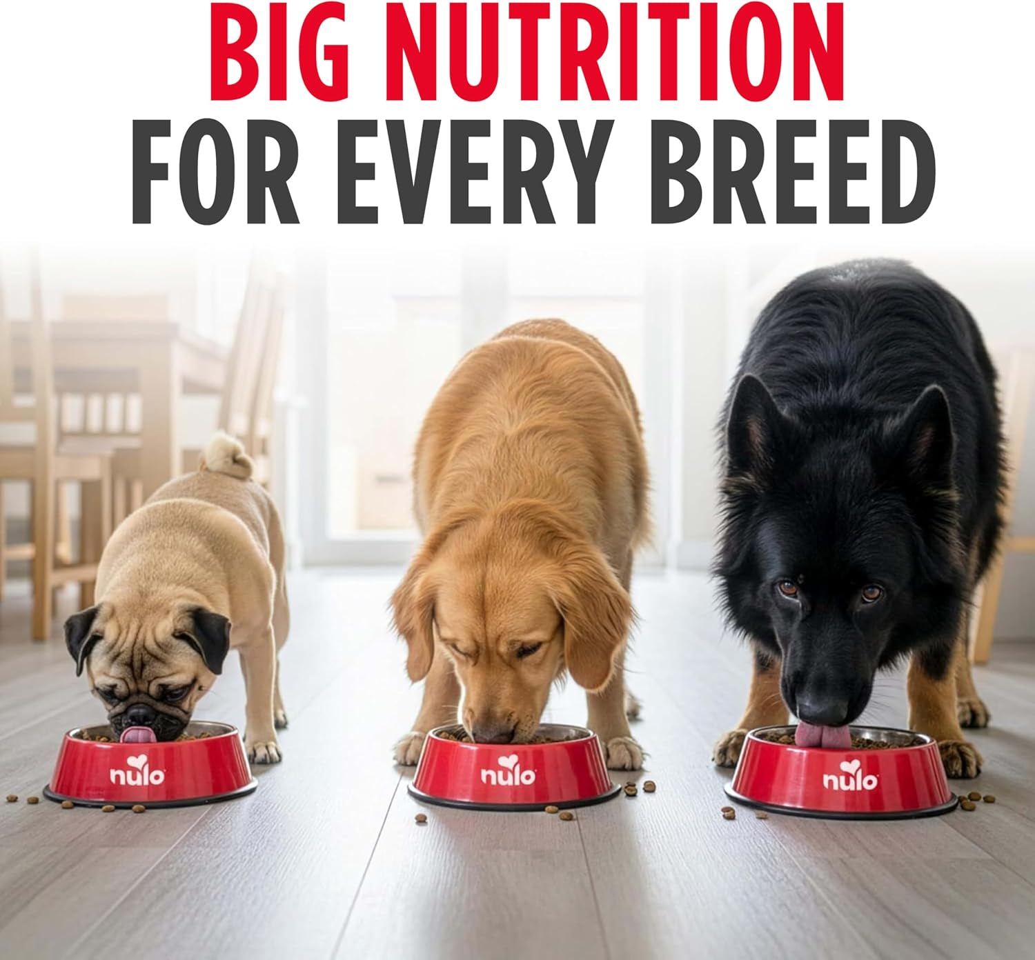 Nulo Frontrunner Dry Dog Food - Adult High-Protein Beef, Barley & Lamb Recipe, Natural Kibble with Ancient Grains, Probiotics, Taurine