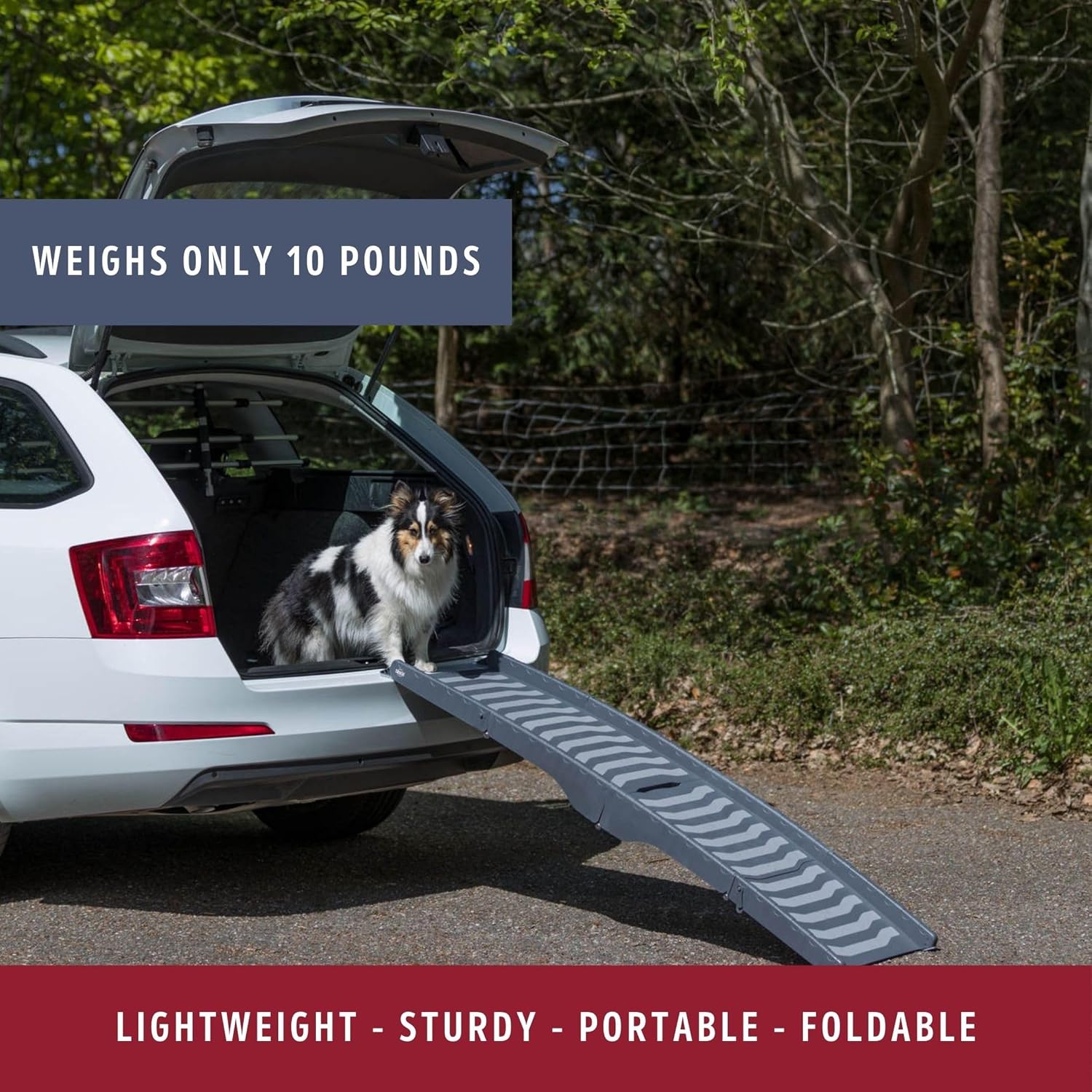 Trixie Folding Pet Ramp, Black | Folding Dog Ramp with High Traction Surface, Ideal for Cars and SUVs, Foldable, Easy to Store and Clean