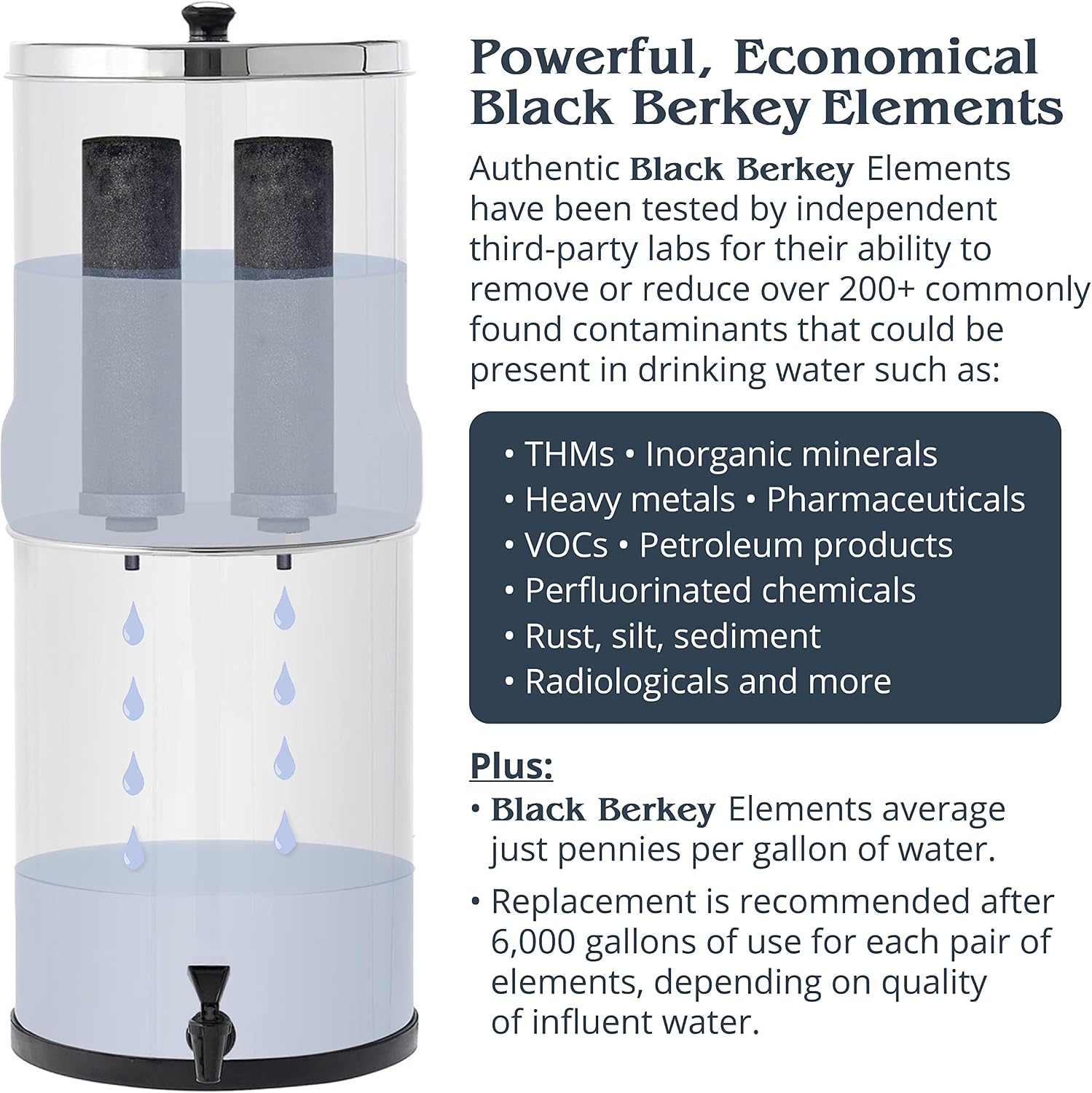 Big Berkey Gravity-Fed Stainless Steel Countertop Water Filter System 2.25 Gallon with 2 Authentic Black Berkey Elements BB9-2 Filters