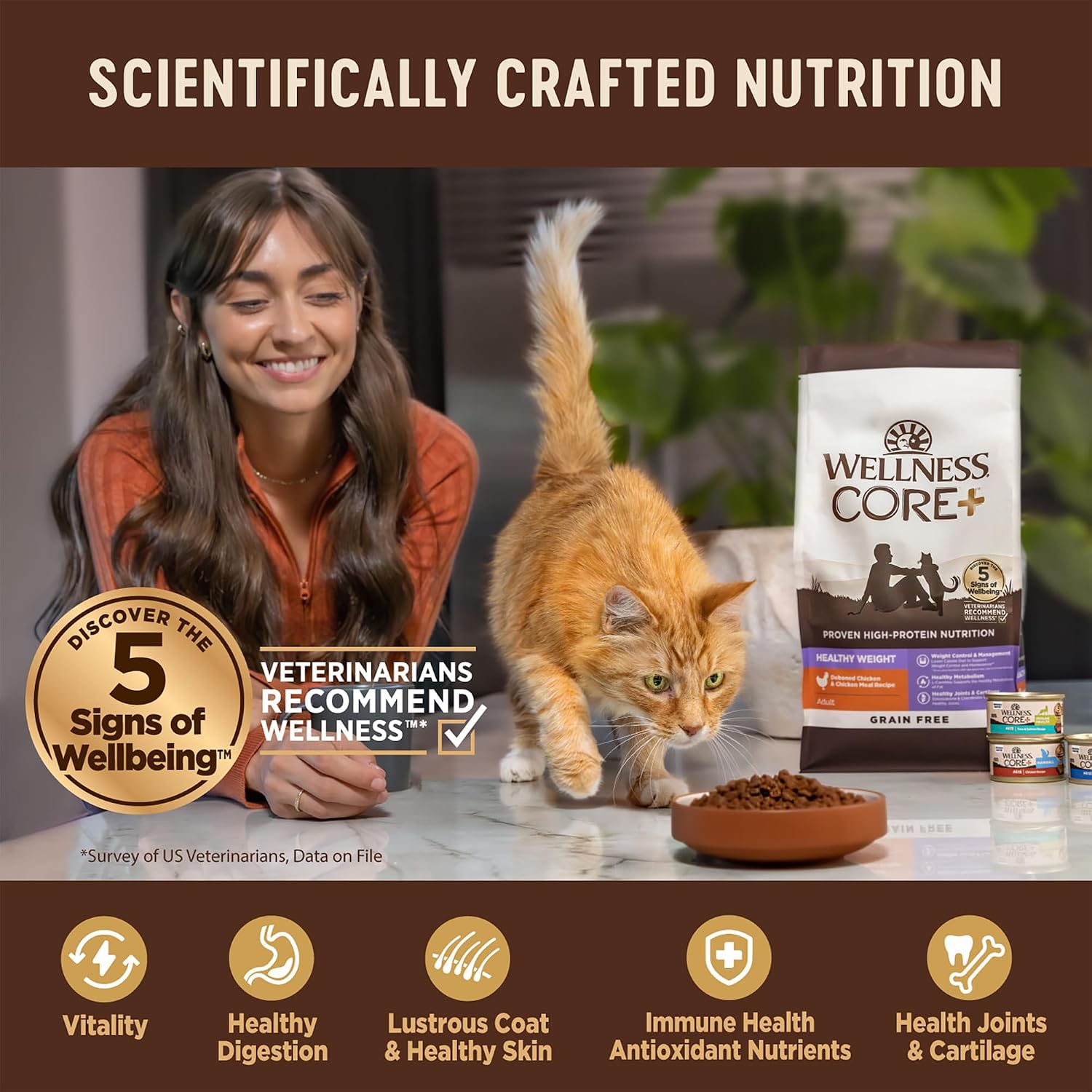 Wellness CORE+ Adult Dry Cat Food for Indoor Cats, Natural, Grain Free Kibble, Chicken, Turkey and Chicken Meal Recipe, 5 lb Bag