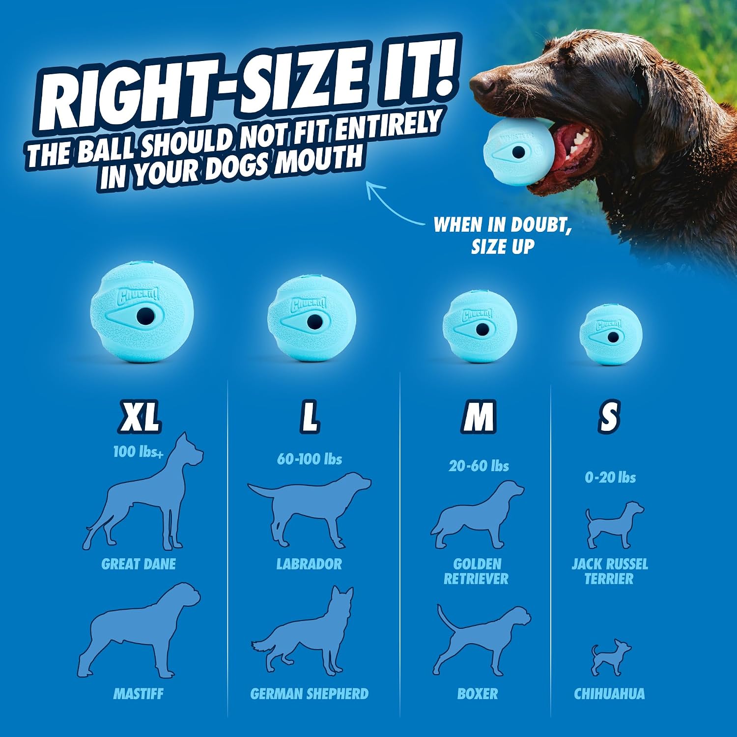 Chuckit! The Whistler Ball Dog Toy, Medium (2.5 Inch Diameter) for Dogs 20-60 lbs, Pack of 2, Multicolor