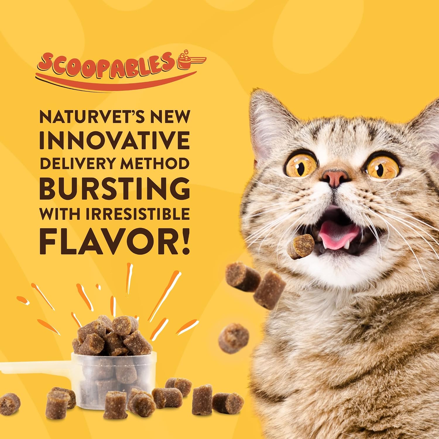 NaturVet Quiet Moments Calming Plus Melatonin Cat Supplement - 50 Count | Calming Aid for Cats - Reduce Stress, Pet Storm Anxiety, Motion Sickness - Great for Grooming, Separation and Travel