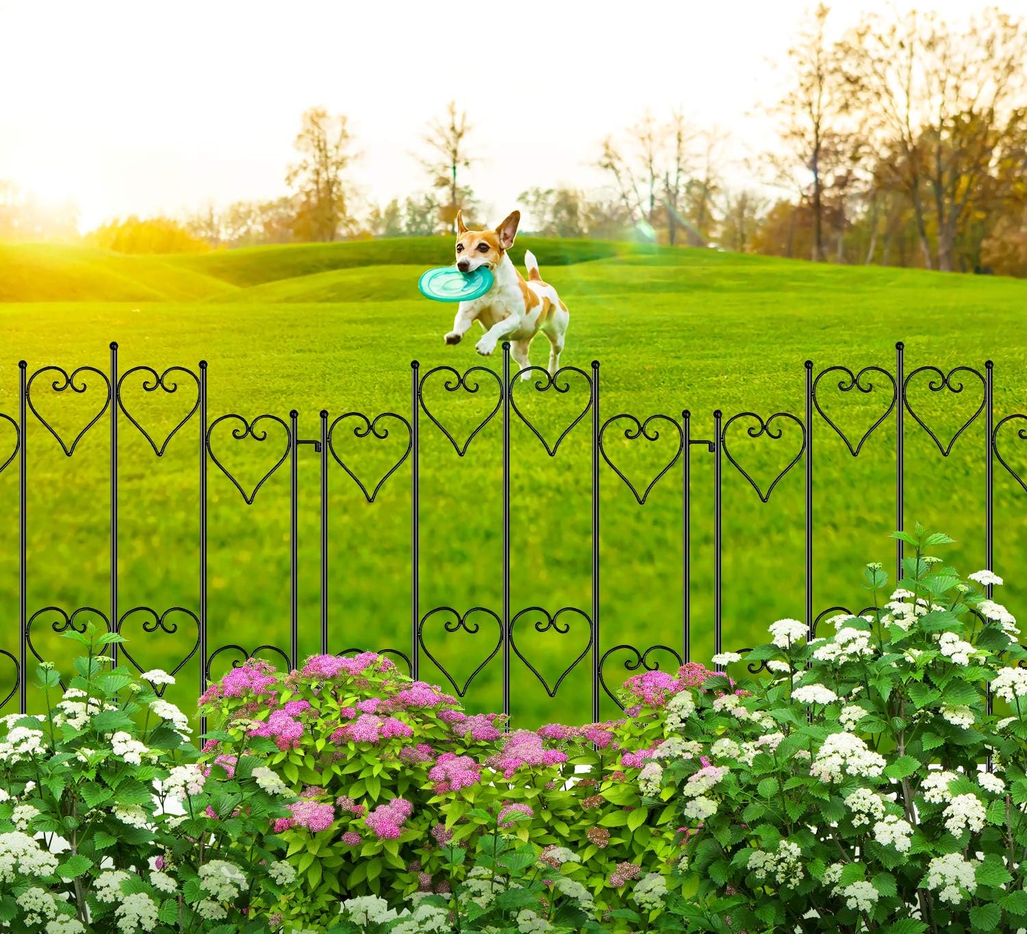 AMAGABELI GARDEN & HOME 5 Panels 32in(H)×10ft(L) Decorative Garden Fences and Borders for Dogs No Dig Rustproof Metal Fence Panels Garden Edging Border Animal Barrier Fencing for Flower Beds Black