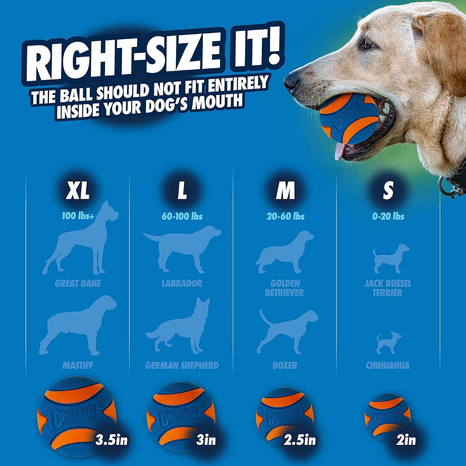 Chuckit! Ultra Ball Dog Toy, Balls for Dogs to Fetch, Durable Rubber, Small 2-inch, Pack of 2