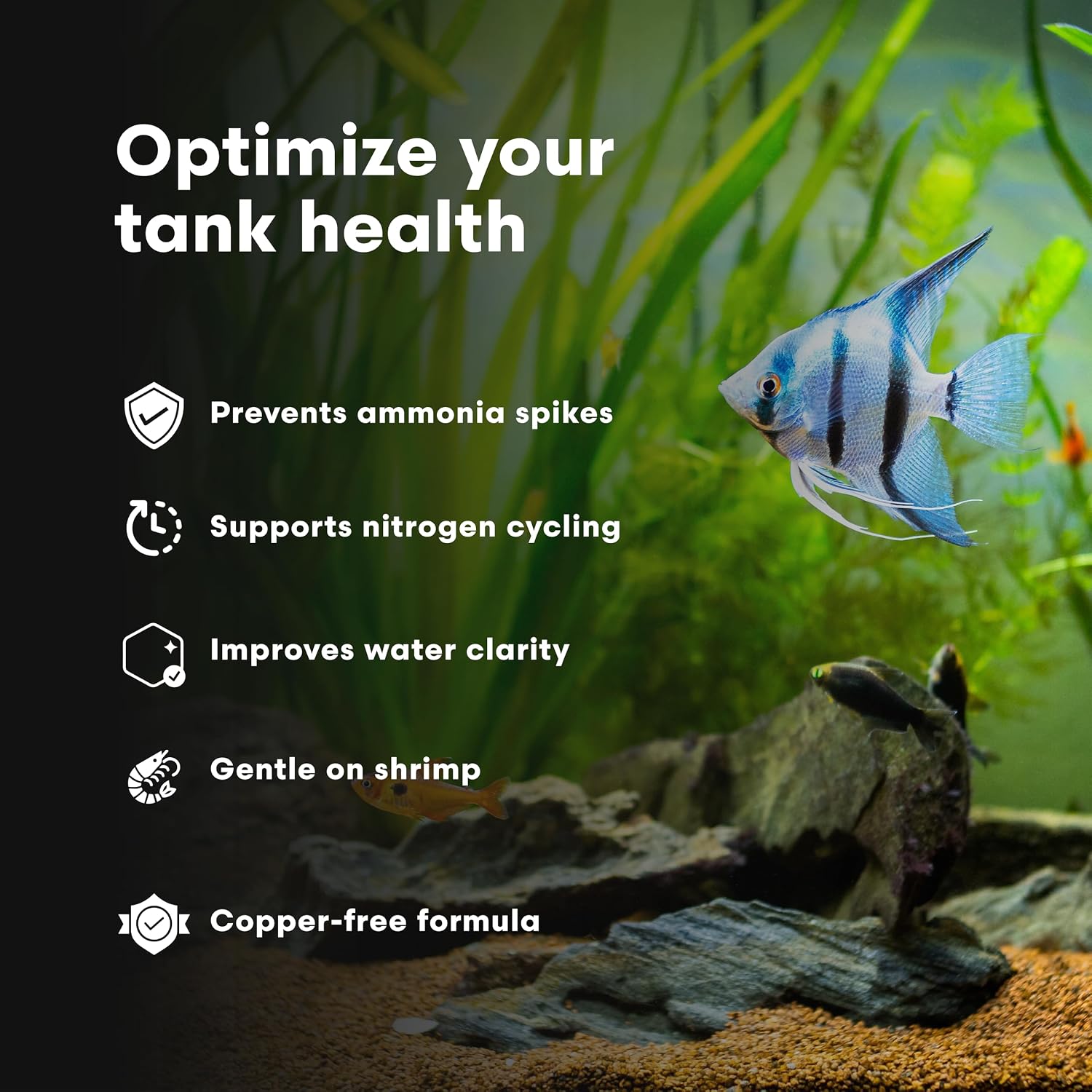 Brightwell Aquatics Shrimp FlorinBacter One Shrimp Tank Starter 500ml