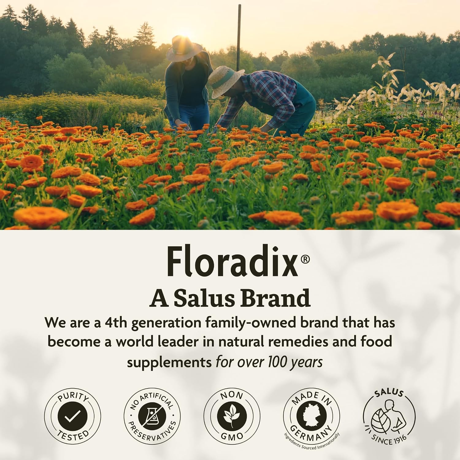 Floradix Iron Tablets - Iron Supplement with B Vitamins, Folic Acid, Vitamin C & More - Energy Support - Vegetarian & Gluten-Free - 80 Tablets (80 Servings)