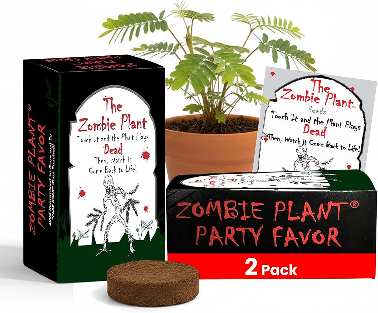 Zombie Plant Seed Packets – Grow a Live Sensitive Plant that Plays Dead When Touched! Indoor Plant Seeds & Educational STEM Activity | House Plant Seeds | Unique Garden Seeds – 2 Pack