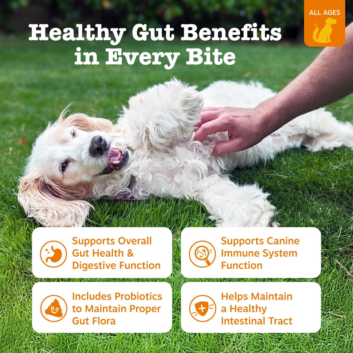 Zesty Paws Probiotics for Dogs - Digestive Enzymes for Gut Flora, Digestive Health, Diarrhea & Bowel Support - Clinically Studied DE111 - Dog Supplement Soft Chew for Pet Immune System - Pumpkin, 90ct