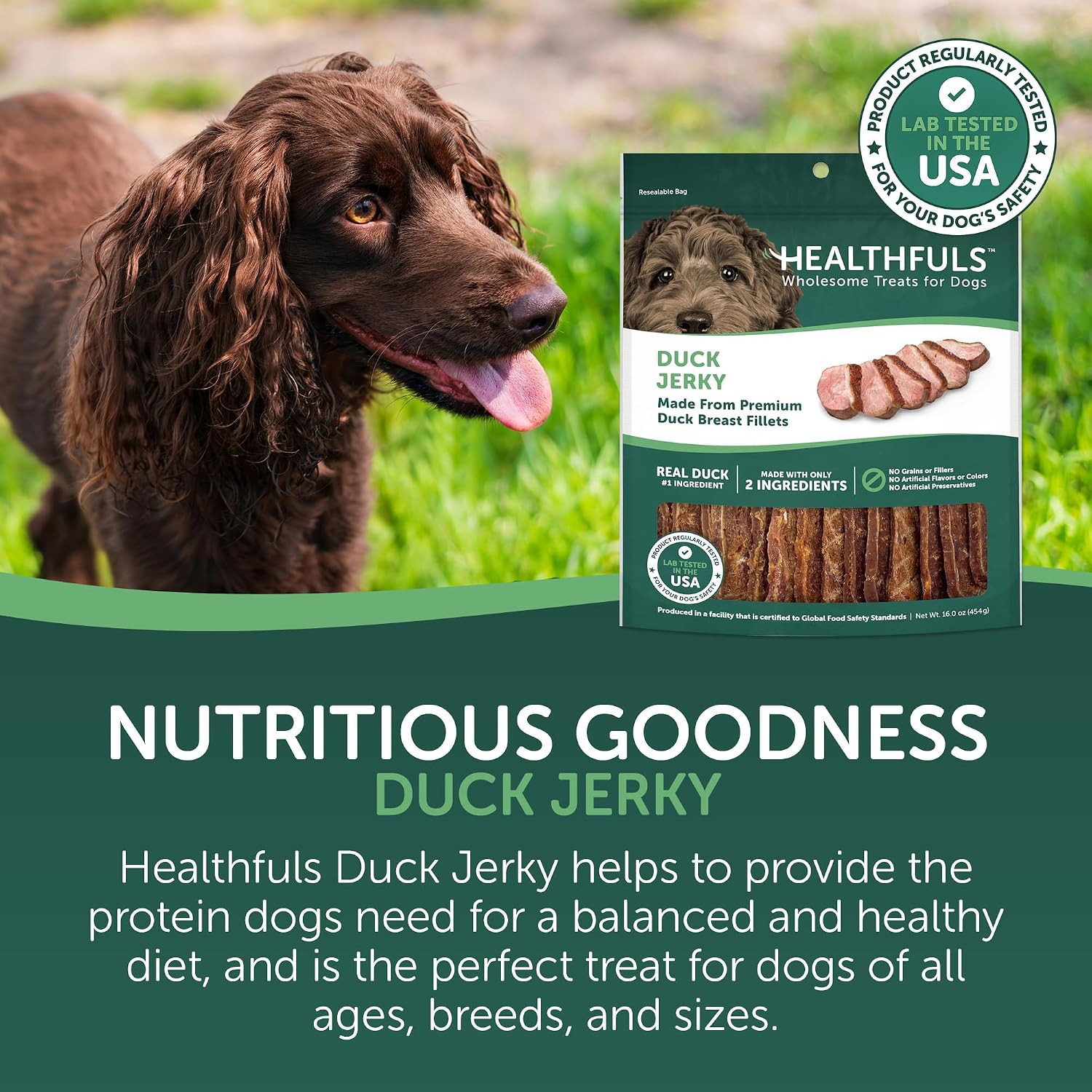 Healthfuls Duck Jerky Healthy Dog Treats – Grain Free, Real Duck Breast Fillets, No Fillers or Artificial Ingredients, All Life Stages – 16 ounces