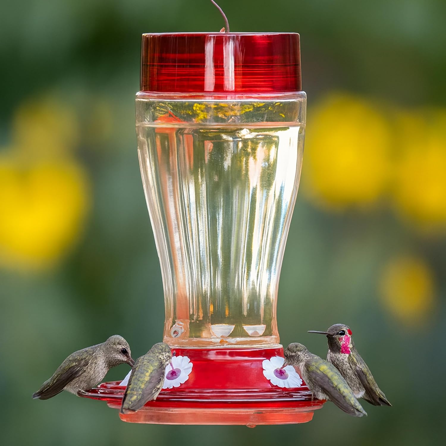 More Birds Bird Health+ Big Gulp Hummingbird Feeder, Glass Hummingbird Feeders for Outdoors, 5 Feeding Stations, 40 Ounces | Built-in Ant Moat
