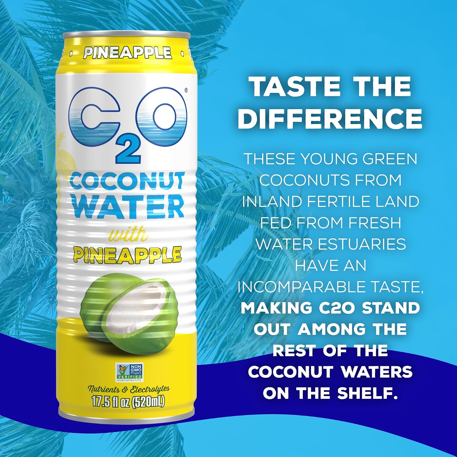 C2O - Coconut Water with Pineapple (12 Pack) - Made with Fresh Coconut Water - Plant Based - Non GMO - Canned Water - Natural Hydration, Essential Electrolytes, & Potassium - 12 Cans, 17.5 FL OZ