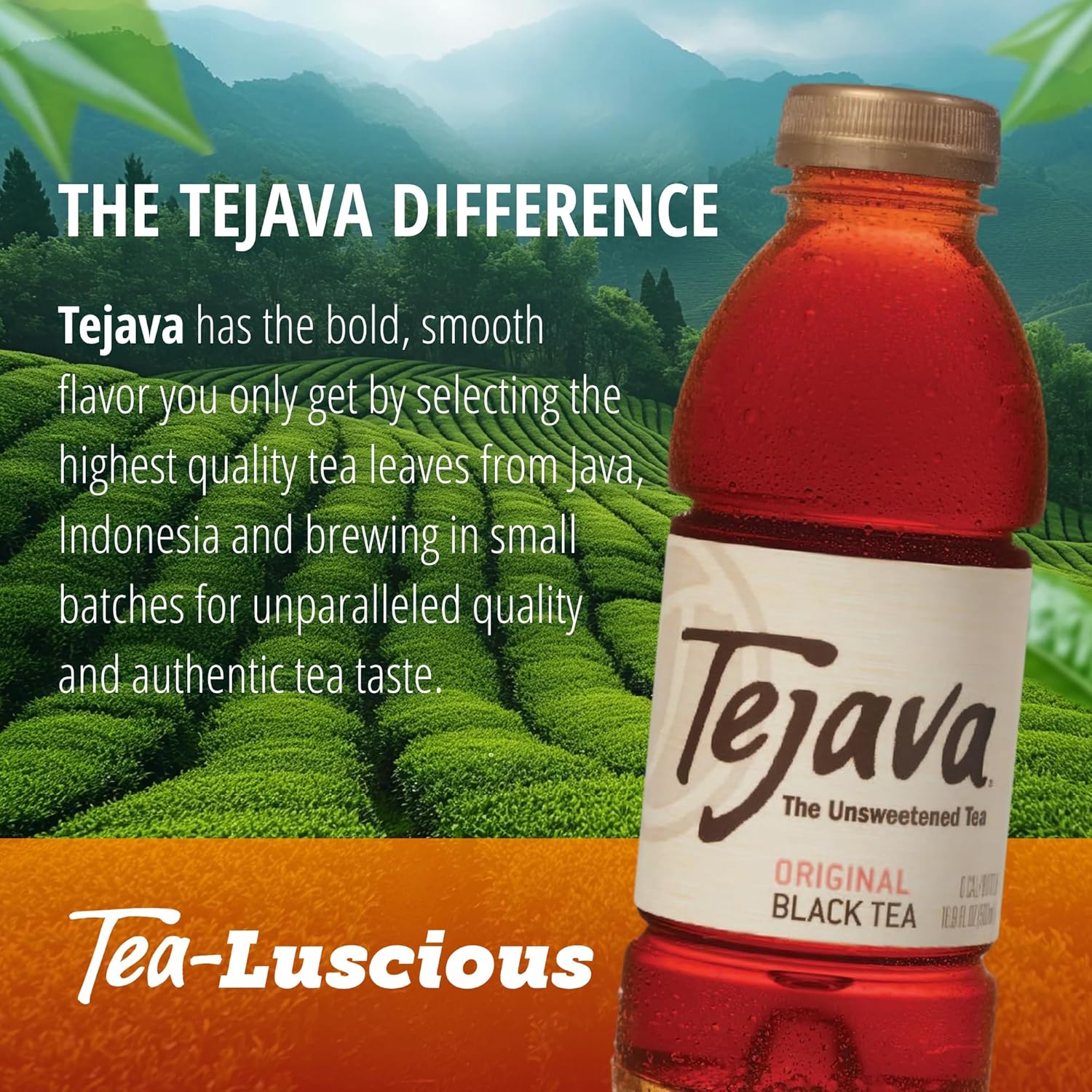 Tejava Pineapple Mango Unsweetened Black Iced Tea, 16.9 fl oz, Pack of 12