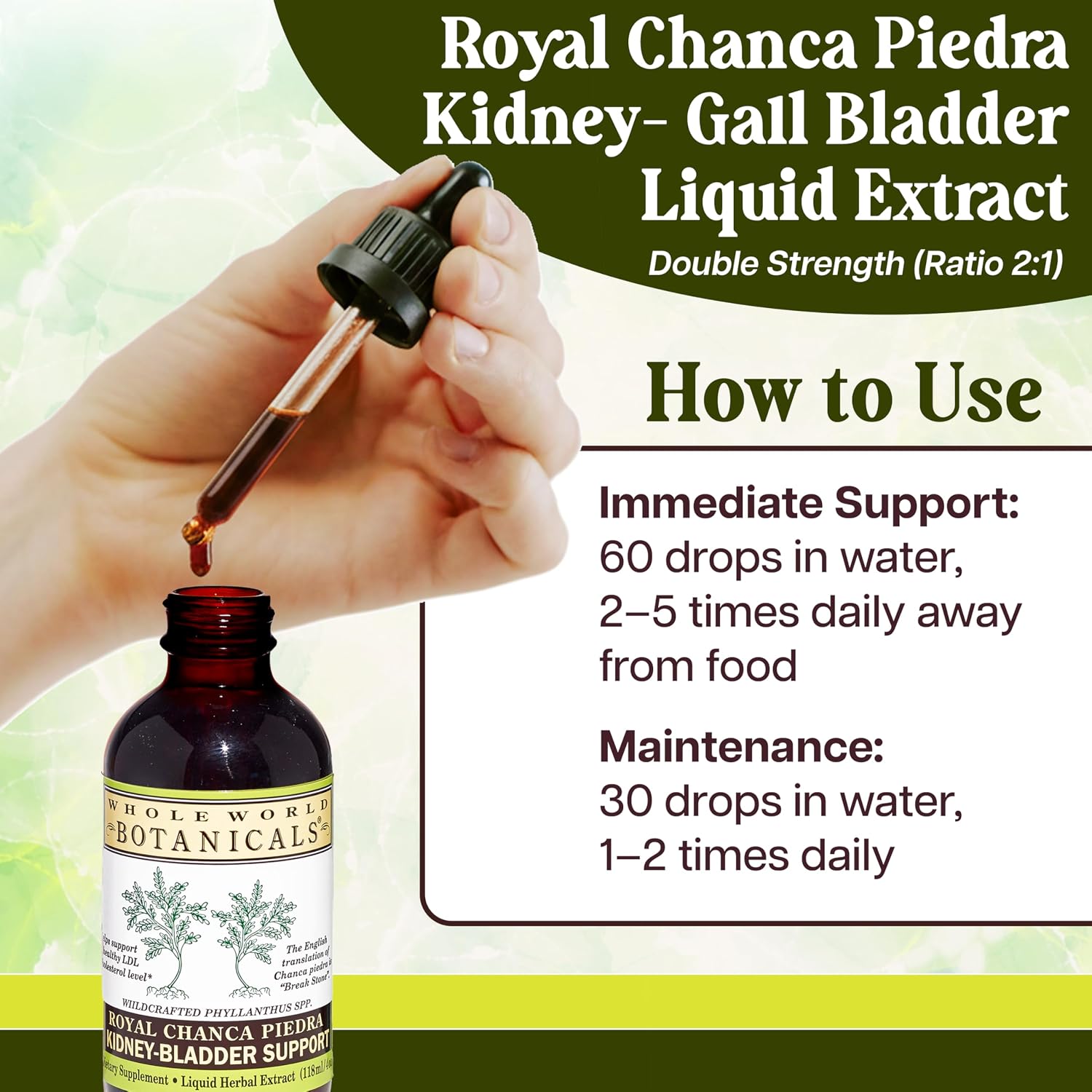 Whole World Botanicals Royal Chanca Piedra – Kidney & Bladder Support – Herbal Supplement – Liquid Extract 4 oz – Traditional Amazon Herb