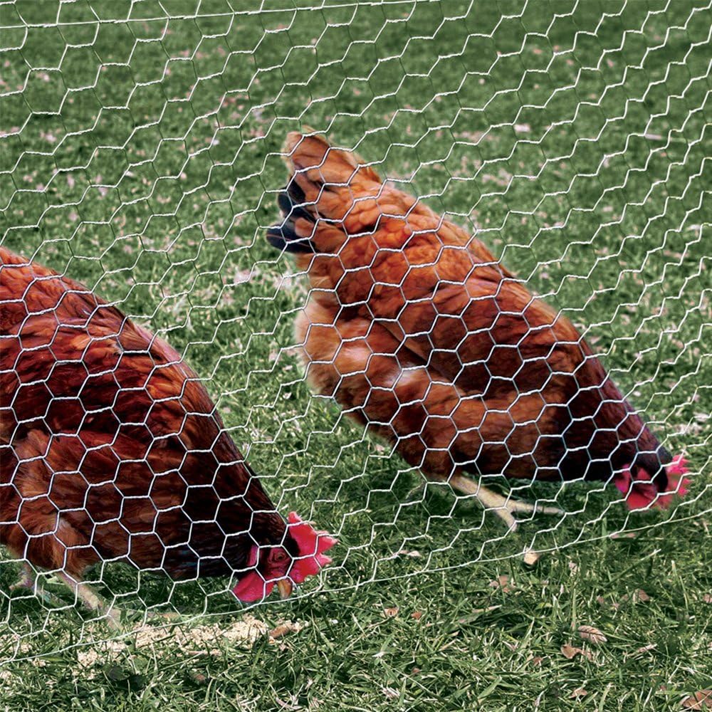 YARDGARD 2 Inch Poultry Netting, Chicken Wire Fence, 20 Gauge Galvanized Steel, Rabbit Fencing, Bird Enclosures, Garden Protection and Plant Support, 48 Inches x 150 Feet