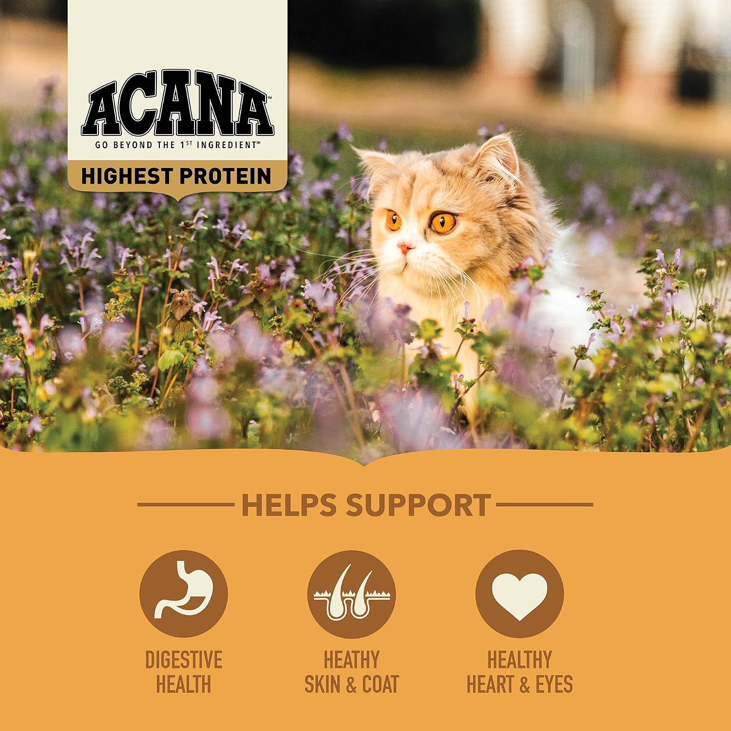 ACANA Grain-Free Dry Cat Food Meadowlands Recipe 4lb Bag