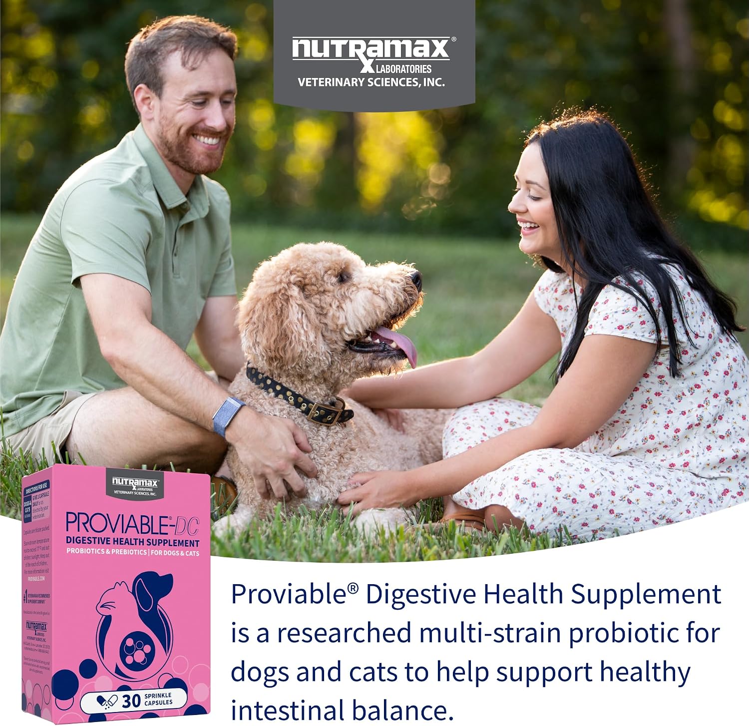 Nutramax Proviable Probiotics + Prebiotics, for Dogs & Cats, Capsules, 80ct | Probiotics and Prebiotics for Cats and Dogs, Daily Gut Health Support Supplement, Multiple Strains, Sprinkle on Food