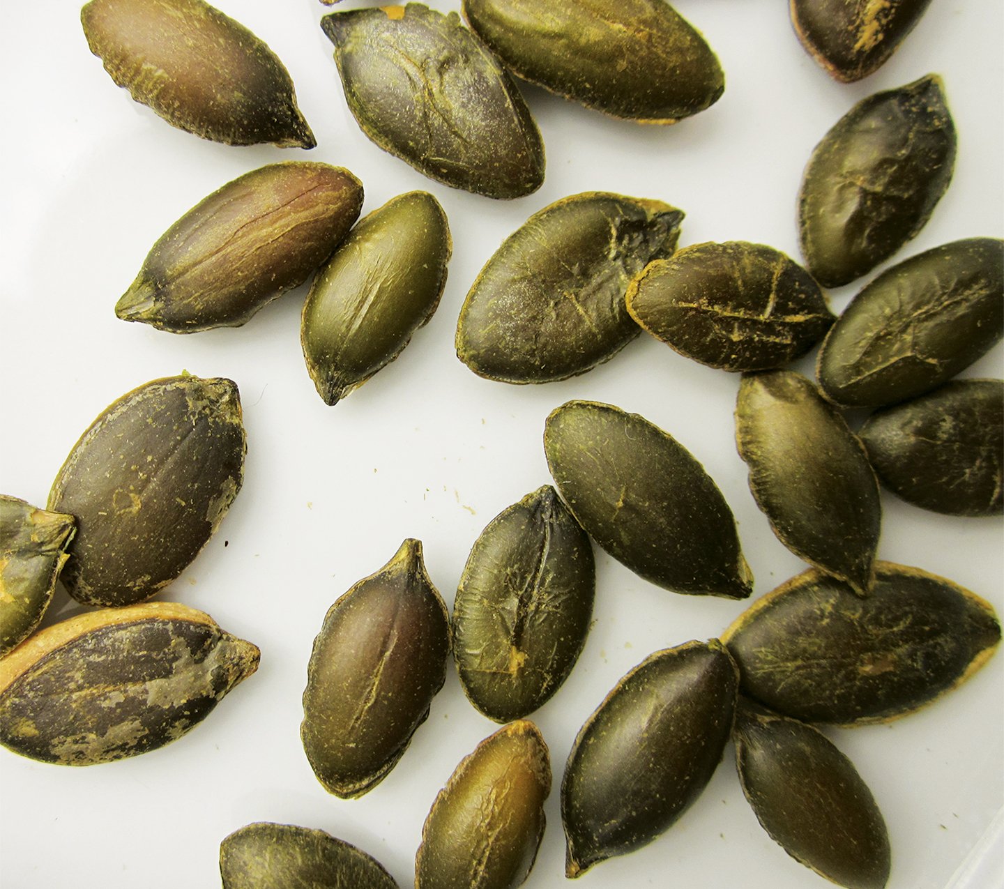 Stony Brook Pepitas (Roasted Pumpkin Seeds) - 16 oz.