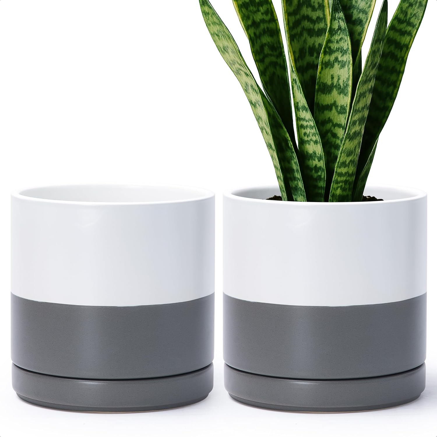 D'vine Dev 2-Pack Ceramic Pots with Saucers, White/Grey, 4.7 in, 94-V-B-6