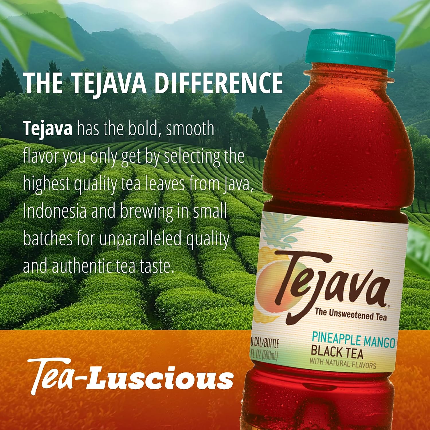 Tejava Pineapple Mango Unsweetened Black Iced Tea, 16.9 fl oz, Pack of 12