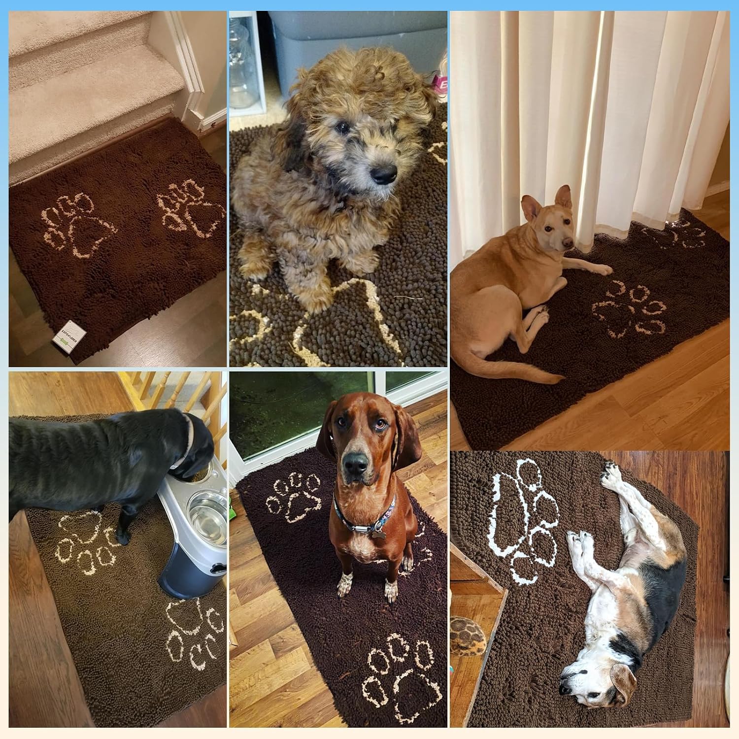 Dog Door Mat for Muddy Paws - Highly Absorbent Microfiber Pet Rug, Quick Dry Chenille Dog Runner Rug Indoor Outdoor, Non-Slip Entryway Carpet Washable Mud Mat for Dogs, Blue 60"x30"