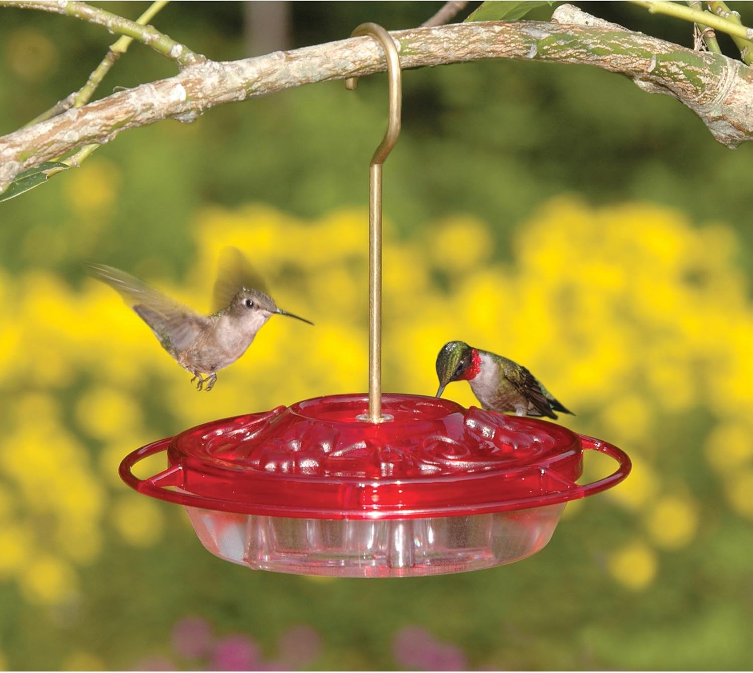 Aspects 382 HummZinger Little Fancy Feeder, 8-Ounce, Small