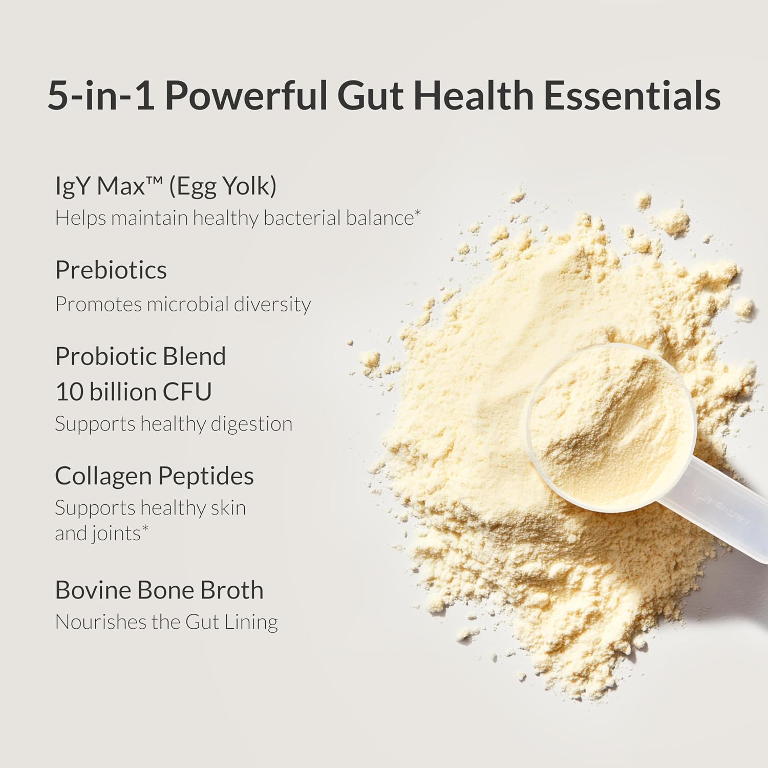 Microbiome Breakthrough Gut Support Powder Chocolate Flavor With Lactobacillus Strains