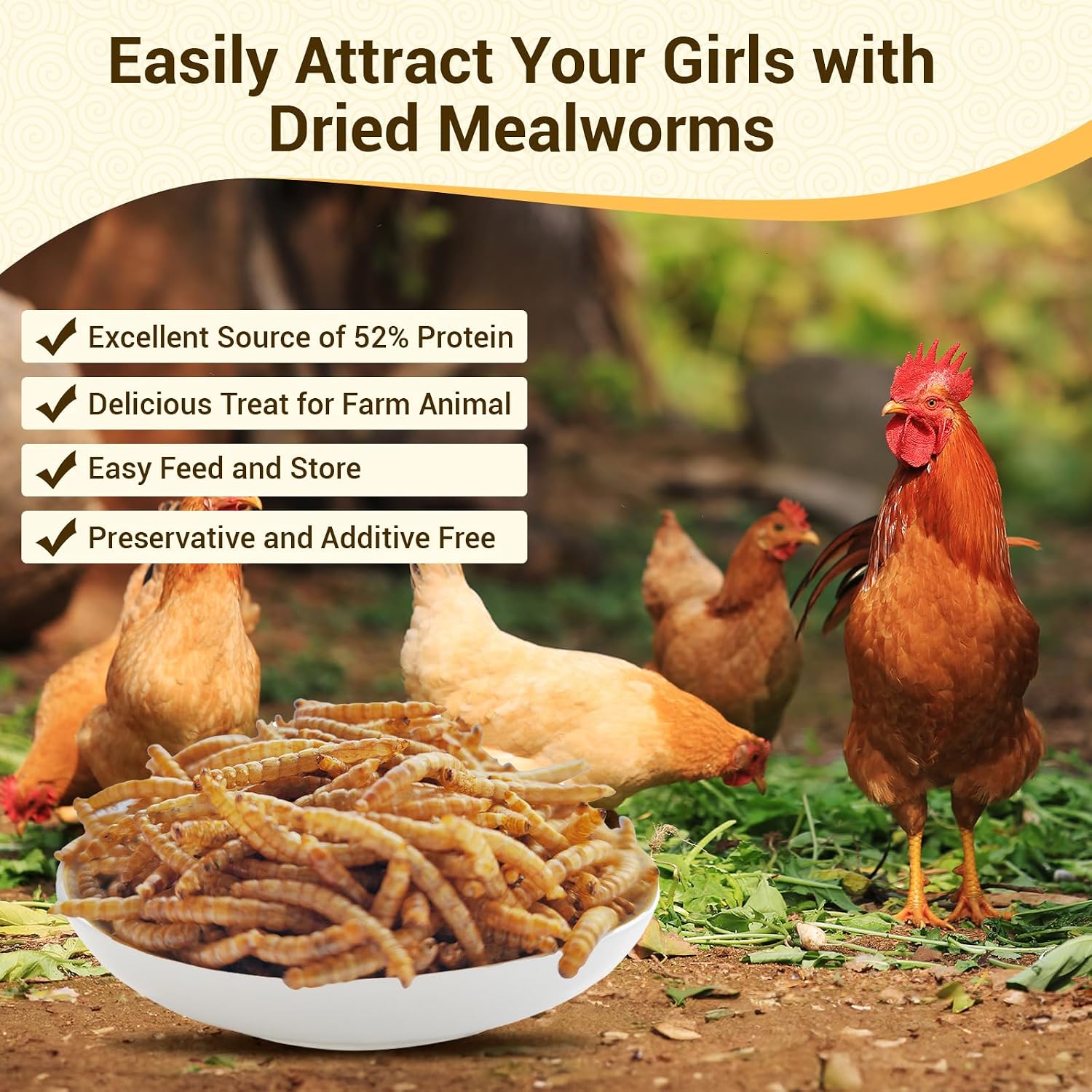 20lb Dried Mealworms for Chickens Duck High Protein Birds Treat