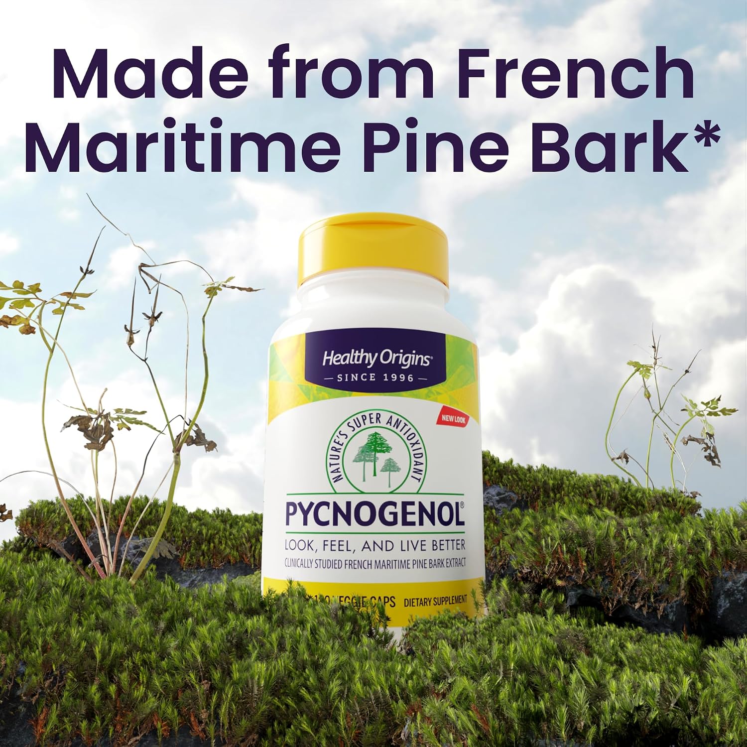 Healthy Origins Pycnogenol Pine Bark 100 mg, 60 Veggie Caps