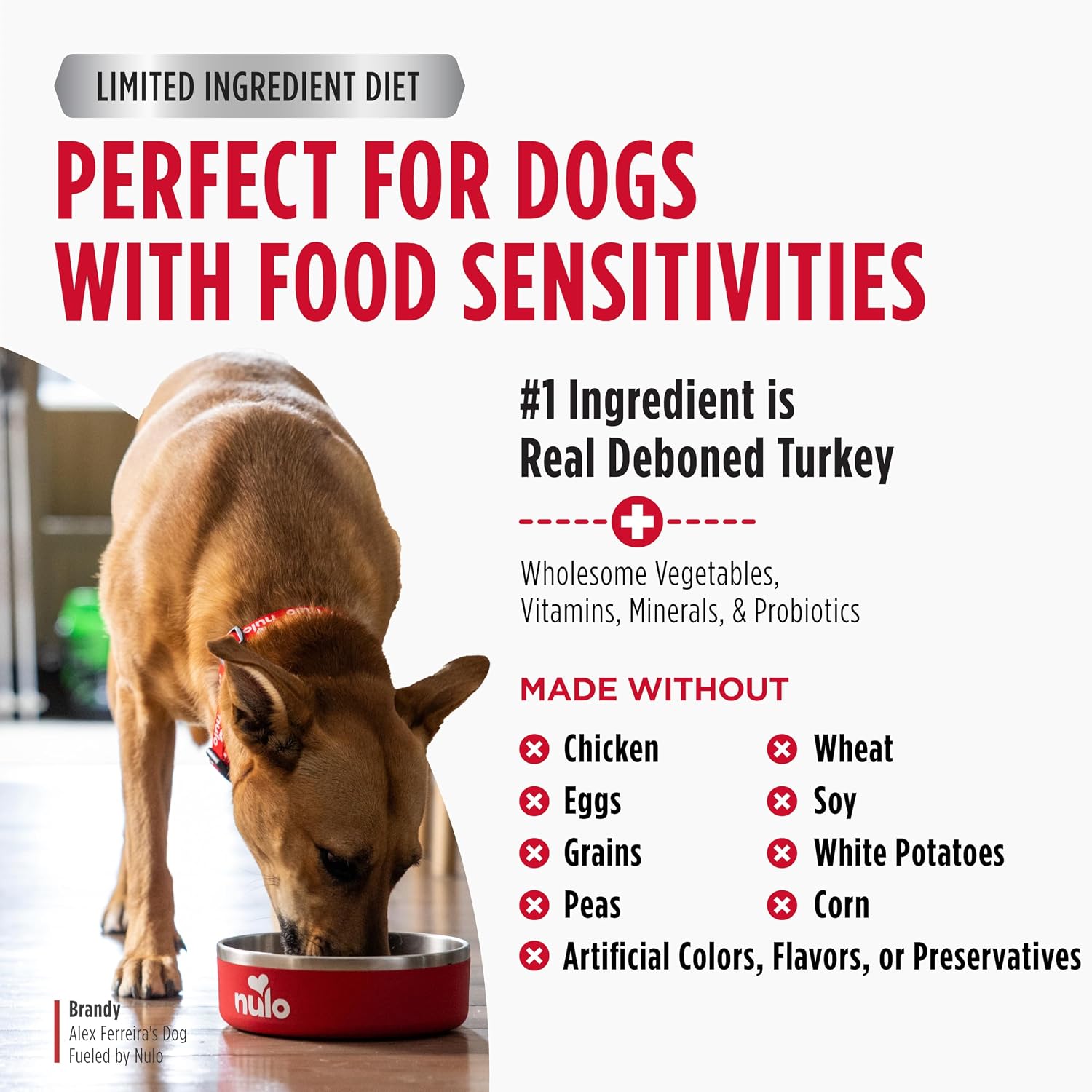 Nulo Freestyle Limited Ingredient Dry Dog Food for Small Breeds - High Protein Turkey Recipe, Natural Grain Free Dog Food for Food Sensitivities