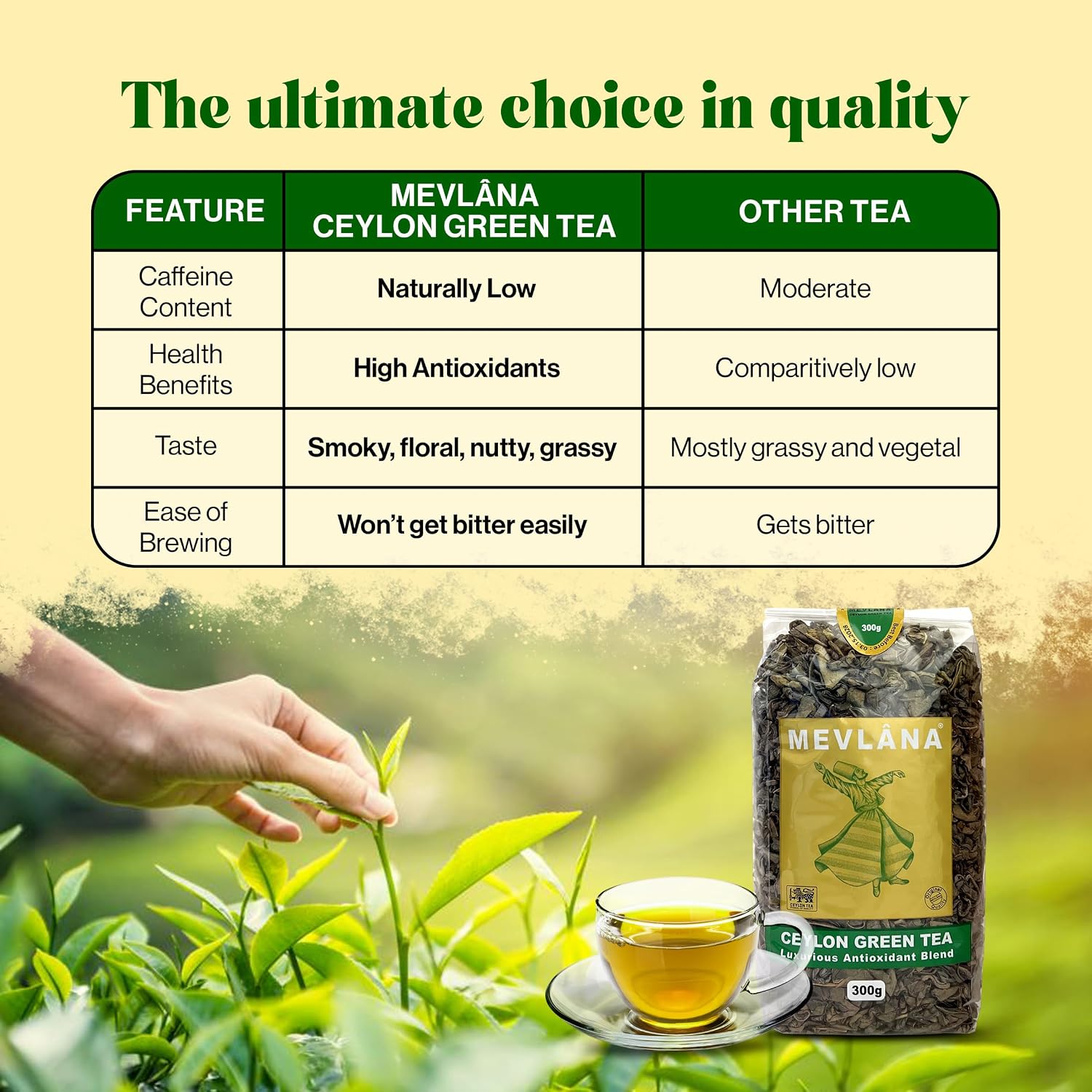 Mevlâna - Ceylon Green Tea Loose Leaf | 300 gr |150 Cups