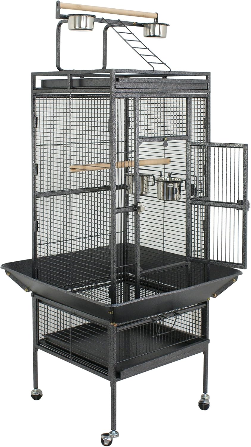Nova Microdermabrasion 68-Inch Height Wrought Iron Standing Large Play Top Bird Cage for African Grey Small Quaker Parrot Cockatiel Sun Parakeet Green Cheek Conure Dove Budgie Lovebird
