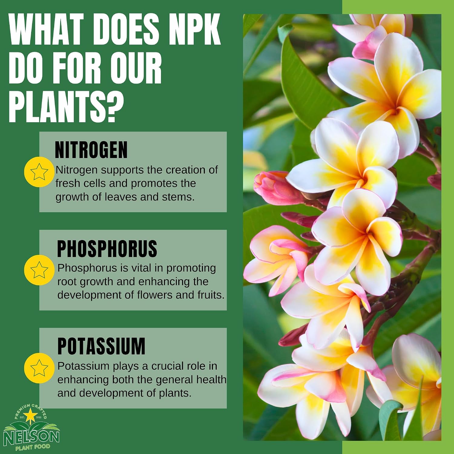 Nelson Plumeria Plant and All Flowering Tropicals Food Ferns Orchids Lilys In Ground Container Patio Grown Granular Fertilizer NutriStar 5-30-5 (4 lb)