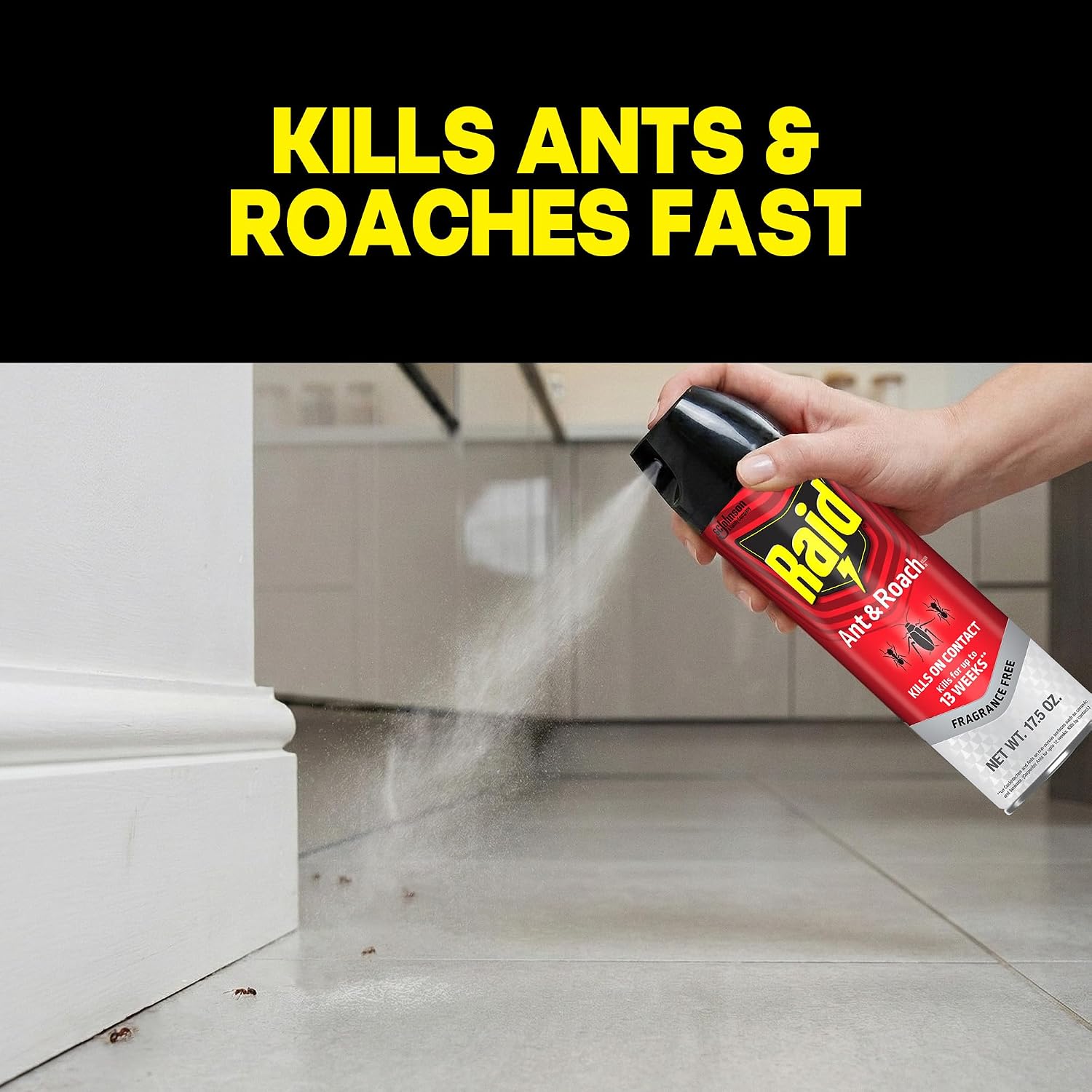 Raid Ant & Roach Killer 26, Fragrance Free Bug Killer for Home Use, Kills Bugs on Contact, 17.5 Oz, 2 Count