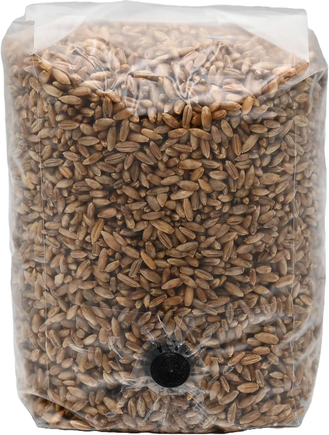 2 Pound Bag of Sterilized Rye Berries Mushroom Substrate with Self Healing Injector Port