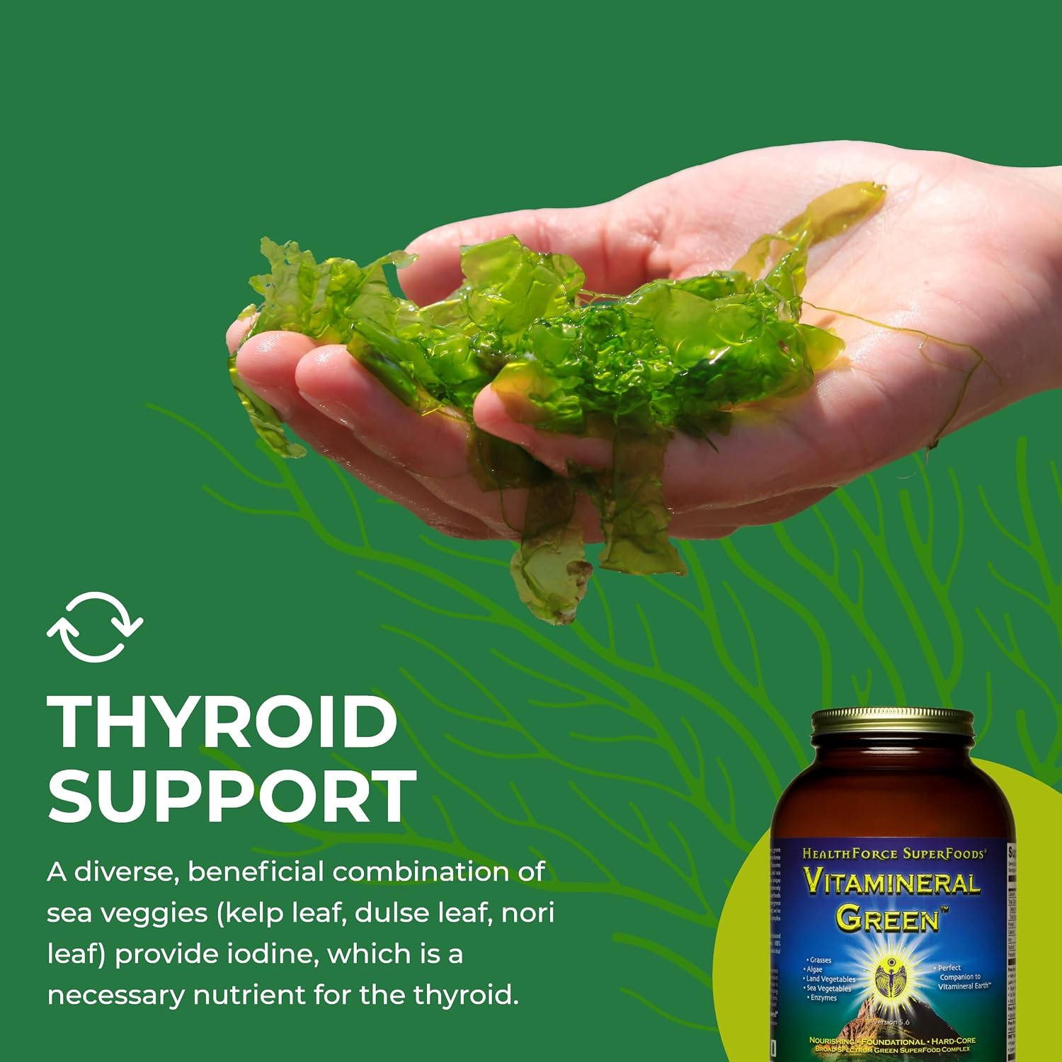 HEALTHFORCE SUPERFOODS Vitamineral Green - Mineral Supplement for Immune & Thyroid Support - Green Powder Supplement with Ingredients from the Land - Gluten-Free & Vegan - 150 Grams