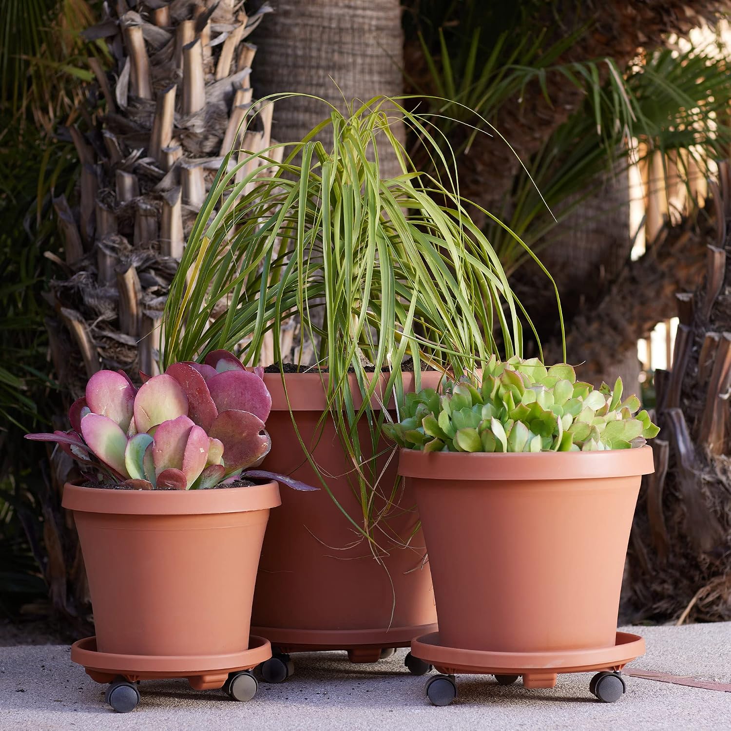 Bloem Terra Pot Planter: 16" - Terra Cotta - Durable Resin Pot, for Indoor and Outdoor Use, 8 Gallon Capacity, Saucer Sold Separately