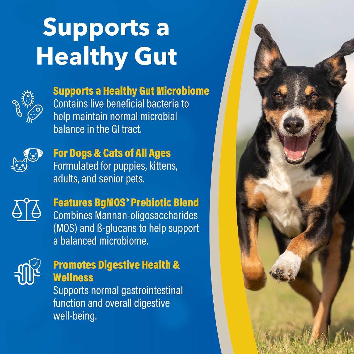 Doc Roys GI Synbiotics for Dogs and Cats, Prebiotic and Probiotic Granules, Digestive and Immune Support, Chicken Flavored, Made in USA, 454 gm