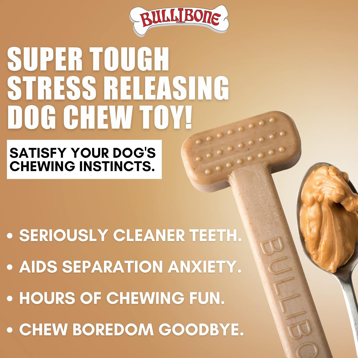 Bullibone Nylon Dog Chew Toy for Aggressive Chewers - Dental Hygiene Bone with Beef Flavor, Durable Tough Chew Toys for Small Dogs, Indestructible Dog Bone - 3 Pack
