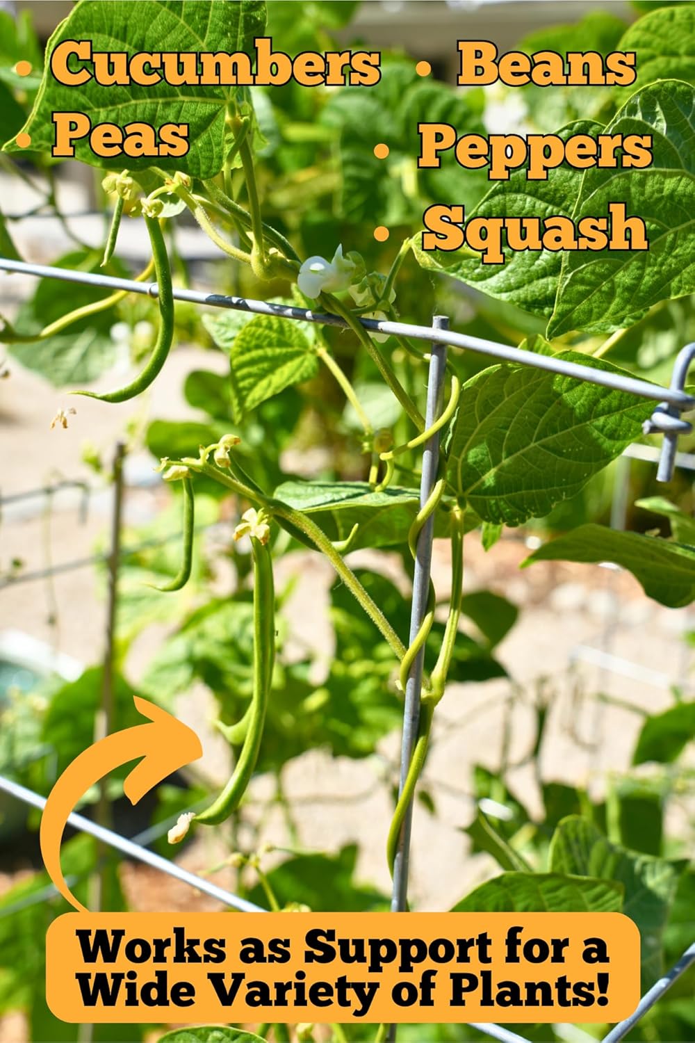 Happy Trees Large Heavy Duty Folding Tomato Cages, 3-Pack, Made in USA