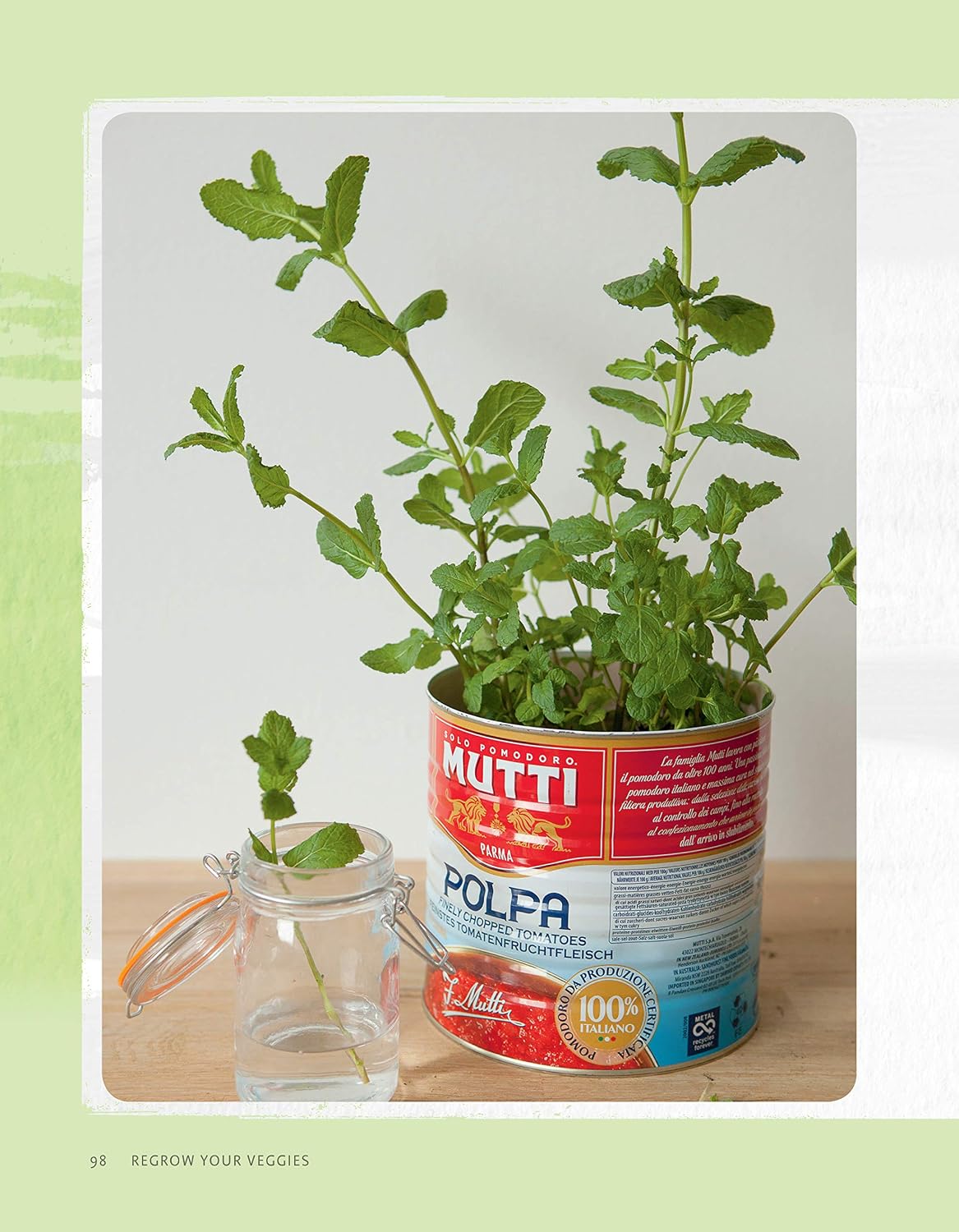 Regrow Your Veggies: Growing Vegetables from Roots, Cuttings, and Scraps (CompanionHouse Books) Sustainable Tips, Troubleshooting
