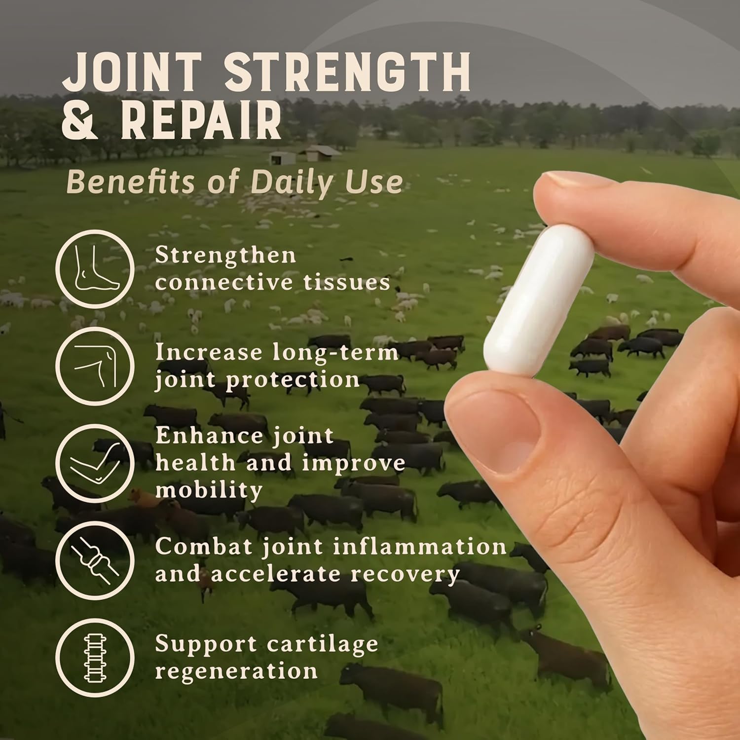 HEART & SOIL Beef Brain Supplement, 180 Capsules
