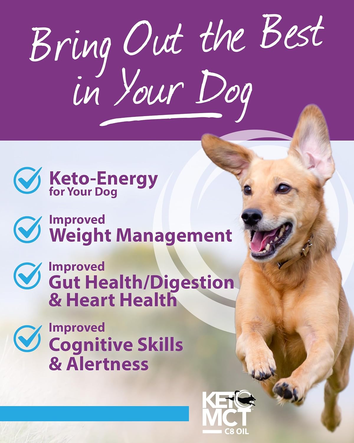 LifeSense C8 MCT Oil for Dogs | Sourced from Coconut Oil | Dog Optimal Fuel for The Brain and Body | Human Grade | Non-GMO| Keto-Friendly